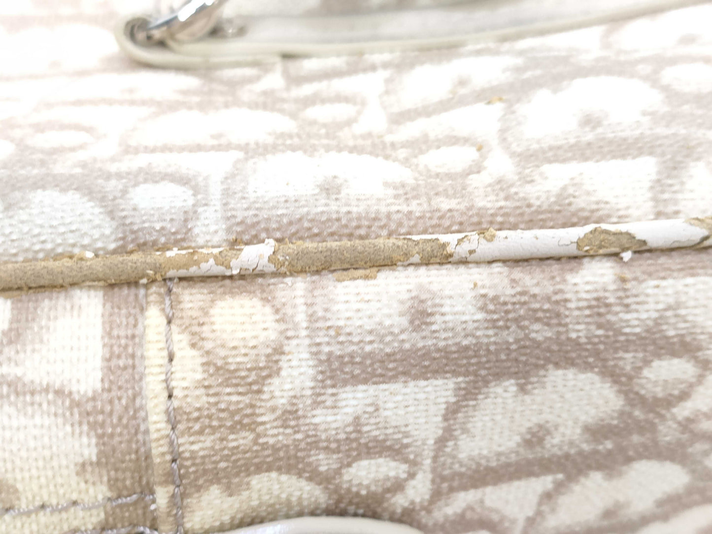 Dior Trotter Handbag Handbag