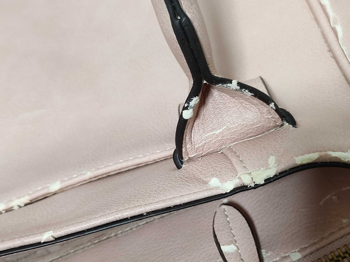 COACH Signature Samantha Il Bisonte Longchamp Bag