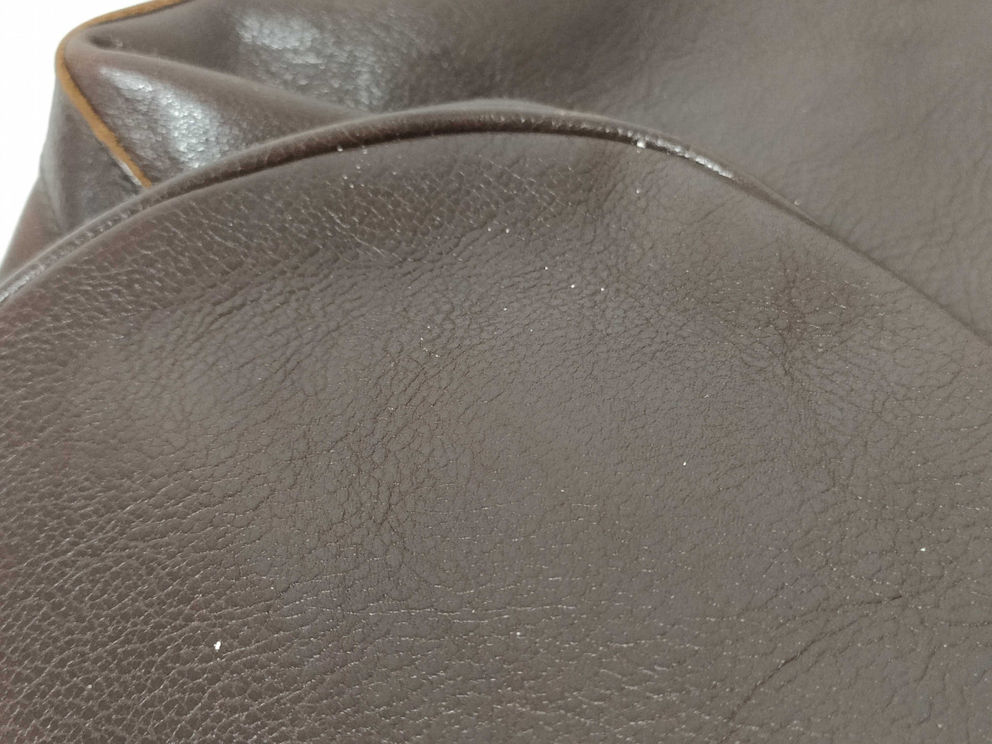 COACH Signature Samantha Il Bisonte Longchamp Bag