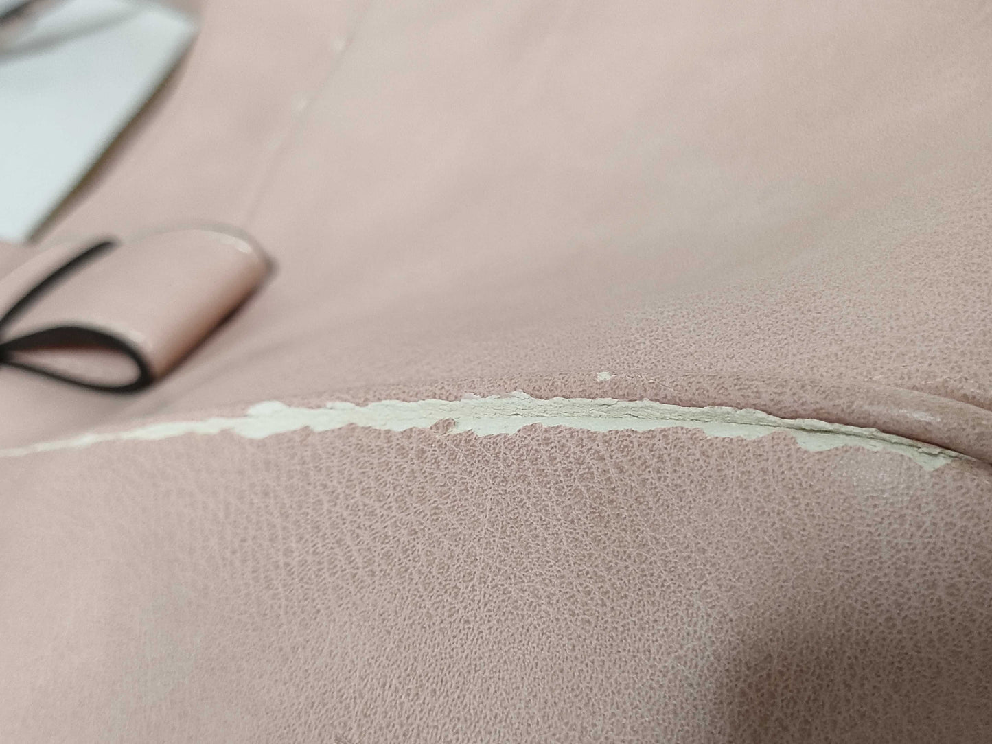 COACH Signature Samantha Il Bisonte Longchamp Bag