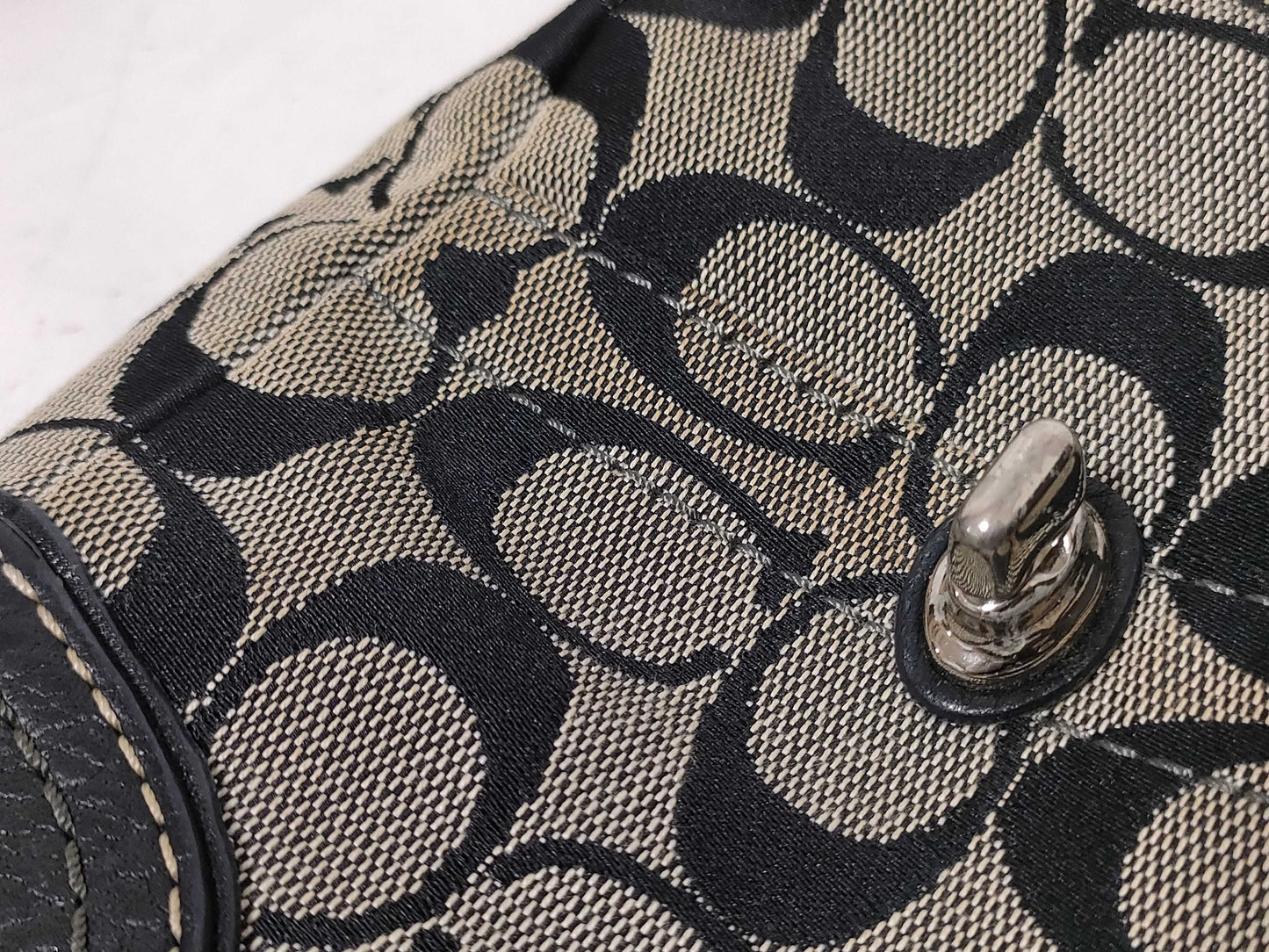 COACH Signature Samantha Il Bisonte Longchamp Bag