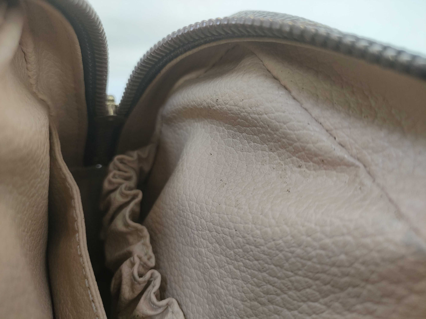 LOUIS VUITTON M47524 Monogram True Towelette Pouch
