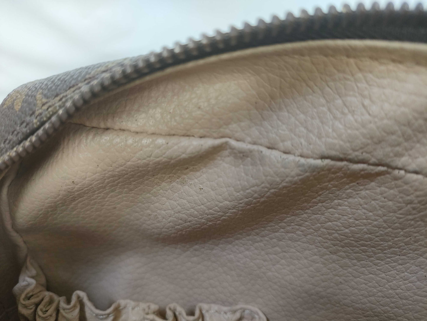 LOUIS VUITTON M47524 Monogram True Towelette Pouch