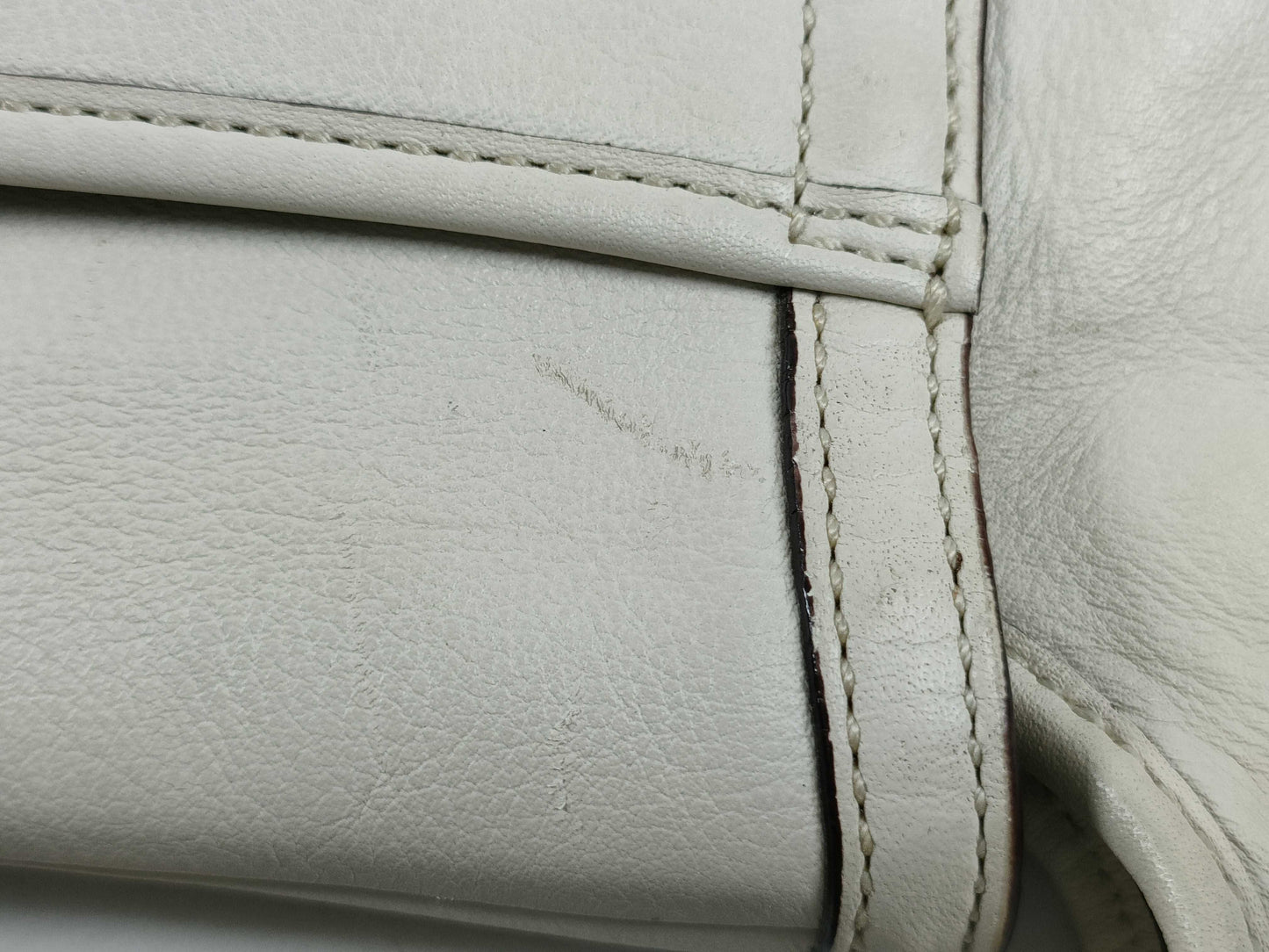 LONG CHAMP Coach/Longchamp set handbag