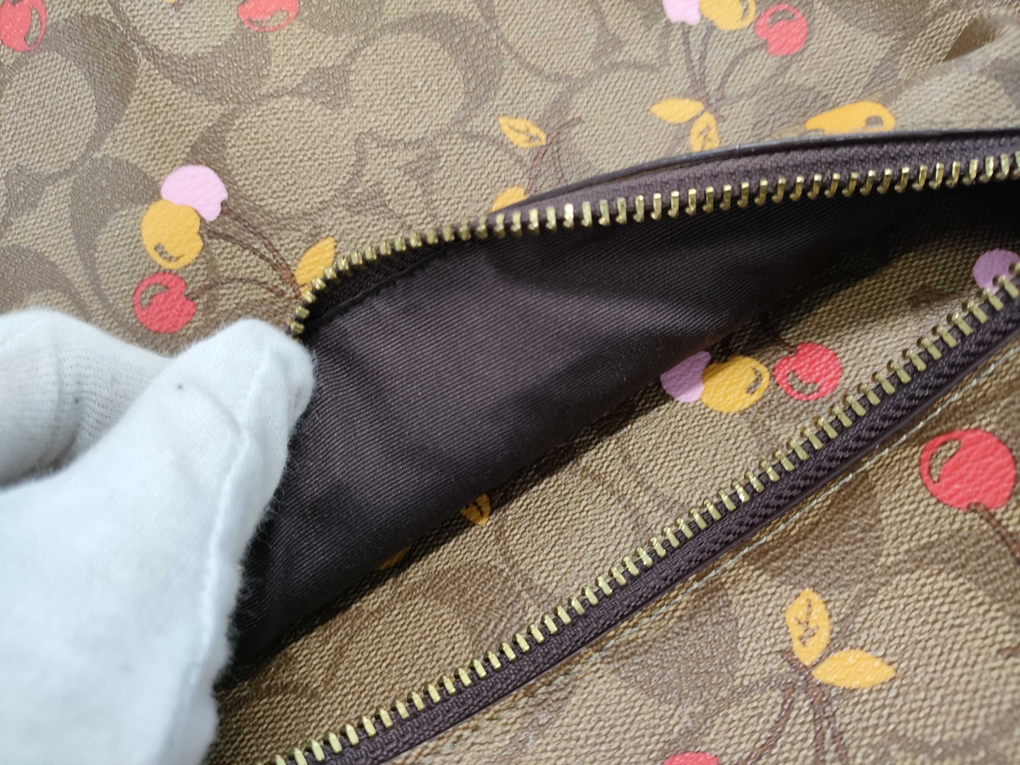 COACH Signature F31372 PVC and Leather Cherry Backpack