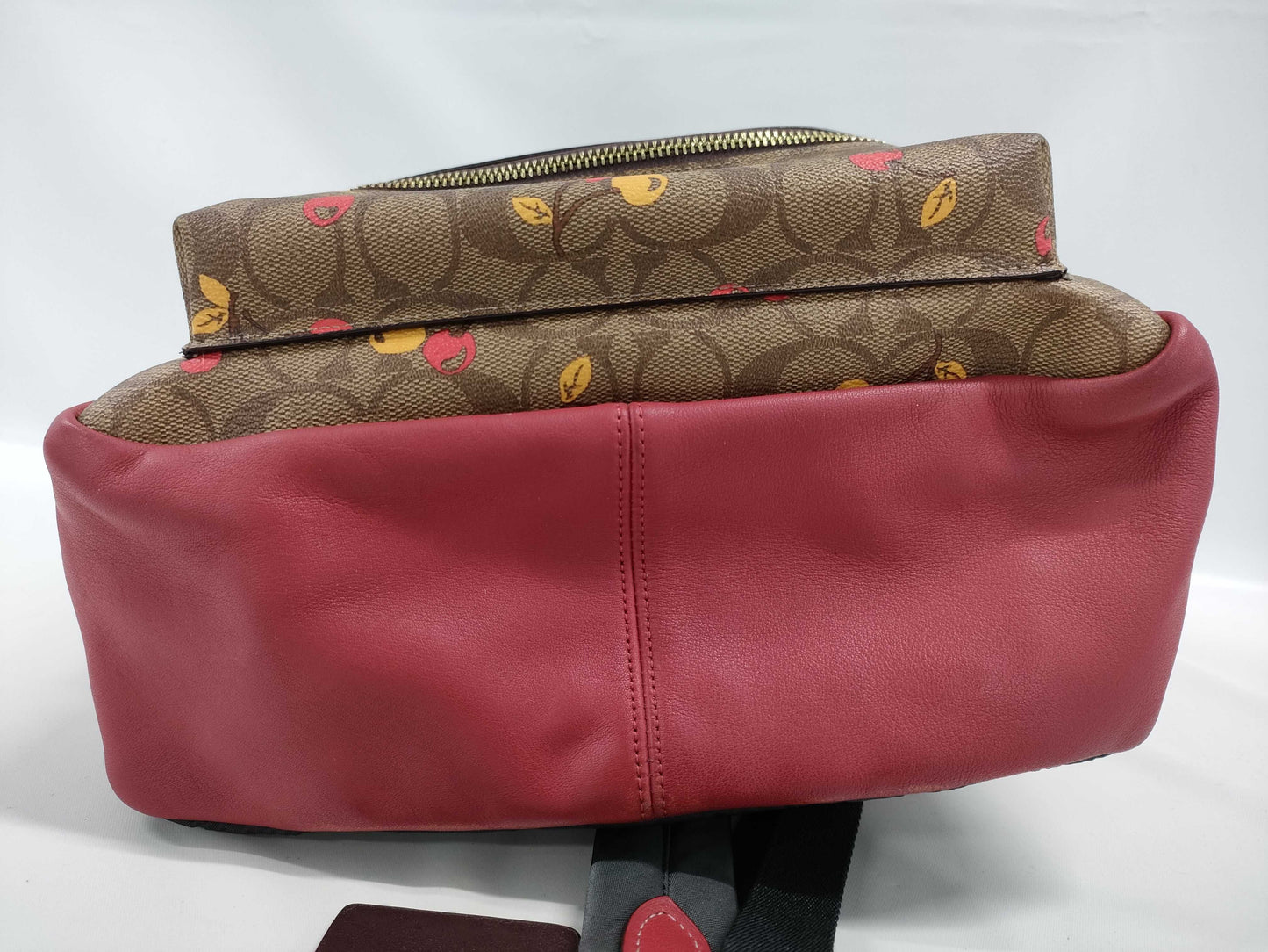 COACH Signature F31372 PVC and Leather Cherry Backpack