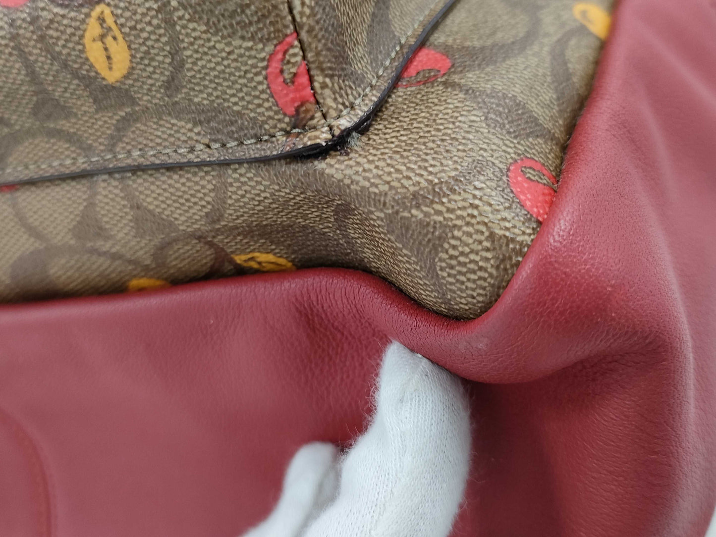COACH Signature F31372 PVC and Leather Cherry Backpack