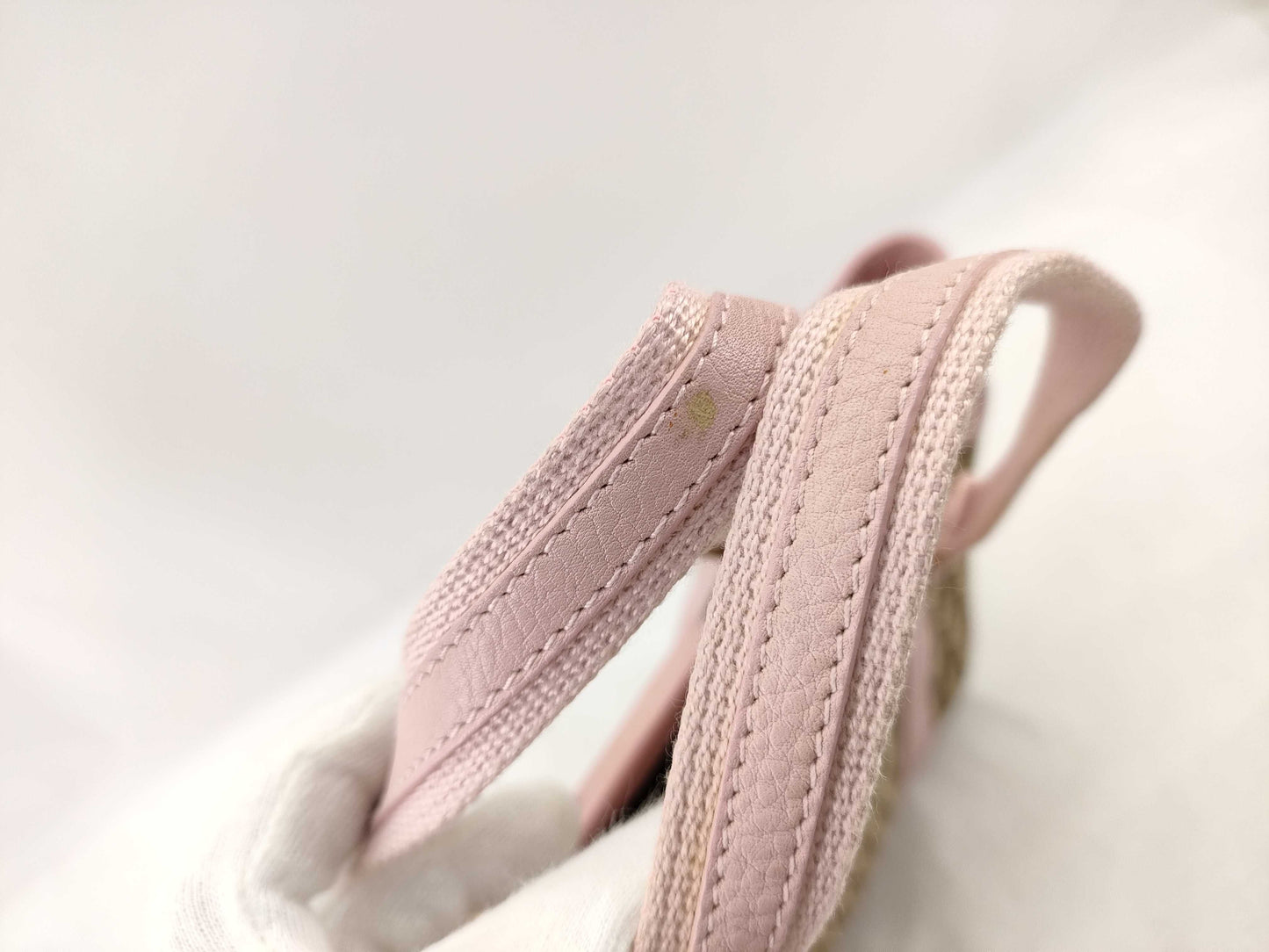 Dior Trotter Handbag Handbag