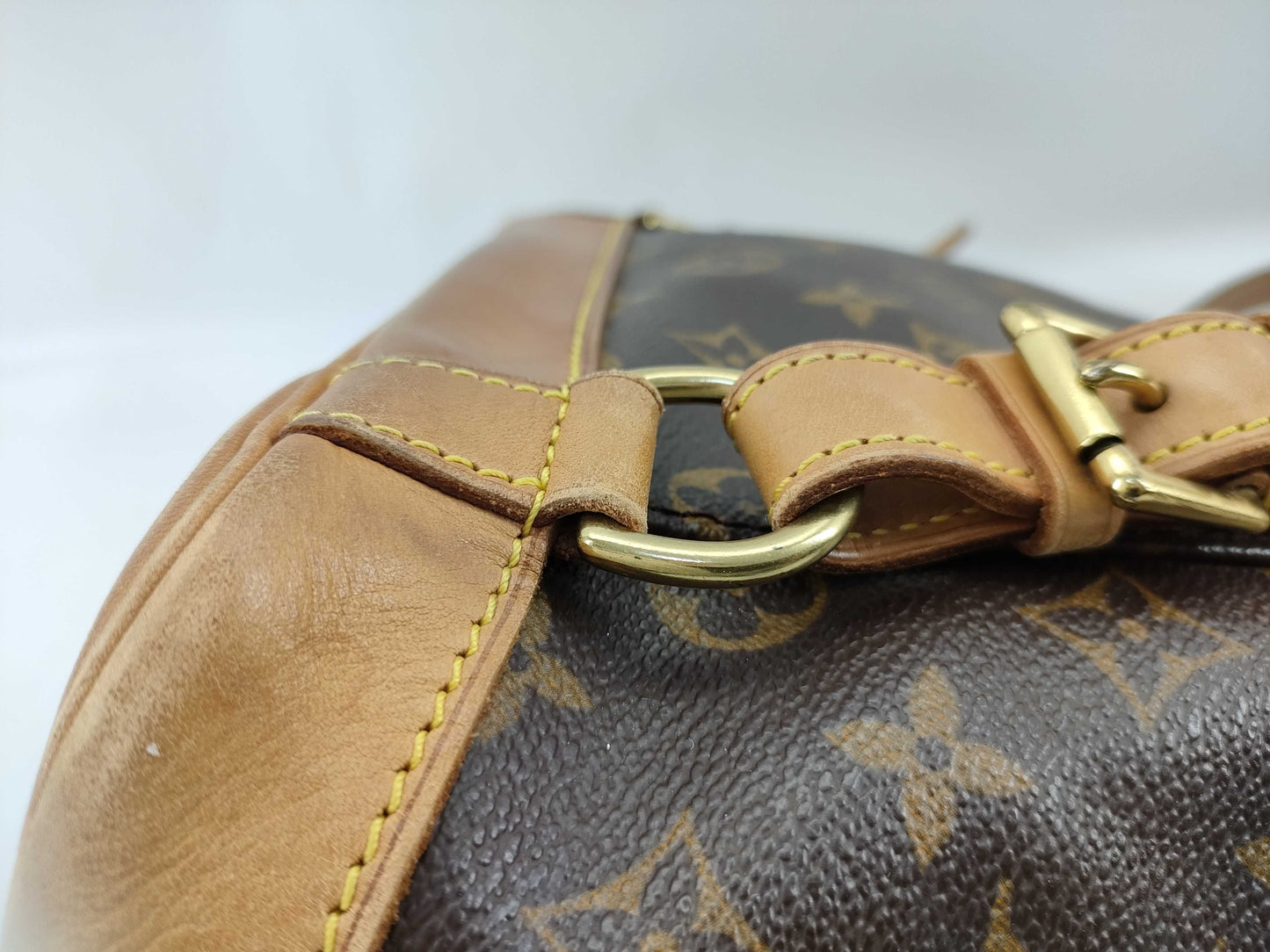 LOUIS VUITTON M51137 Monogram Montsouris PM Backpack