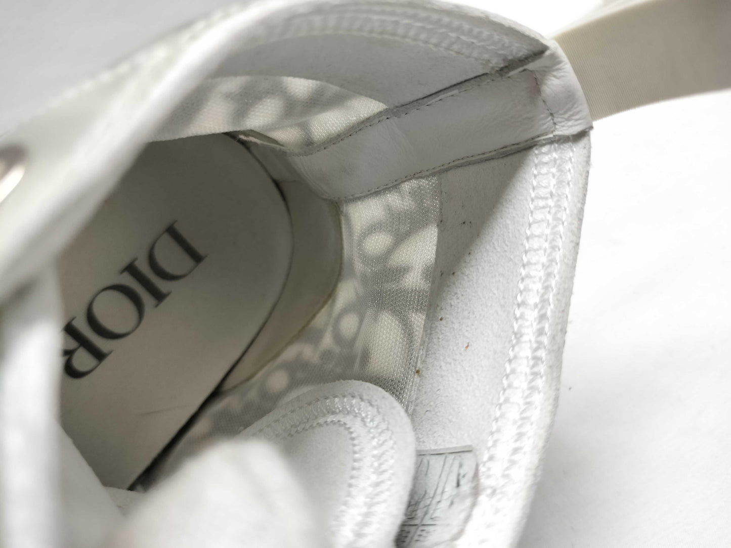 Dior Trotter/Mesh Sneakers