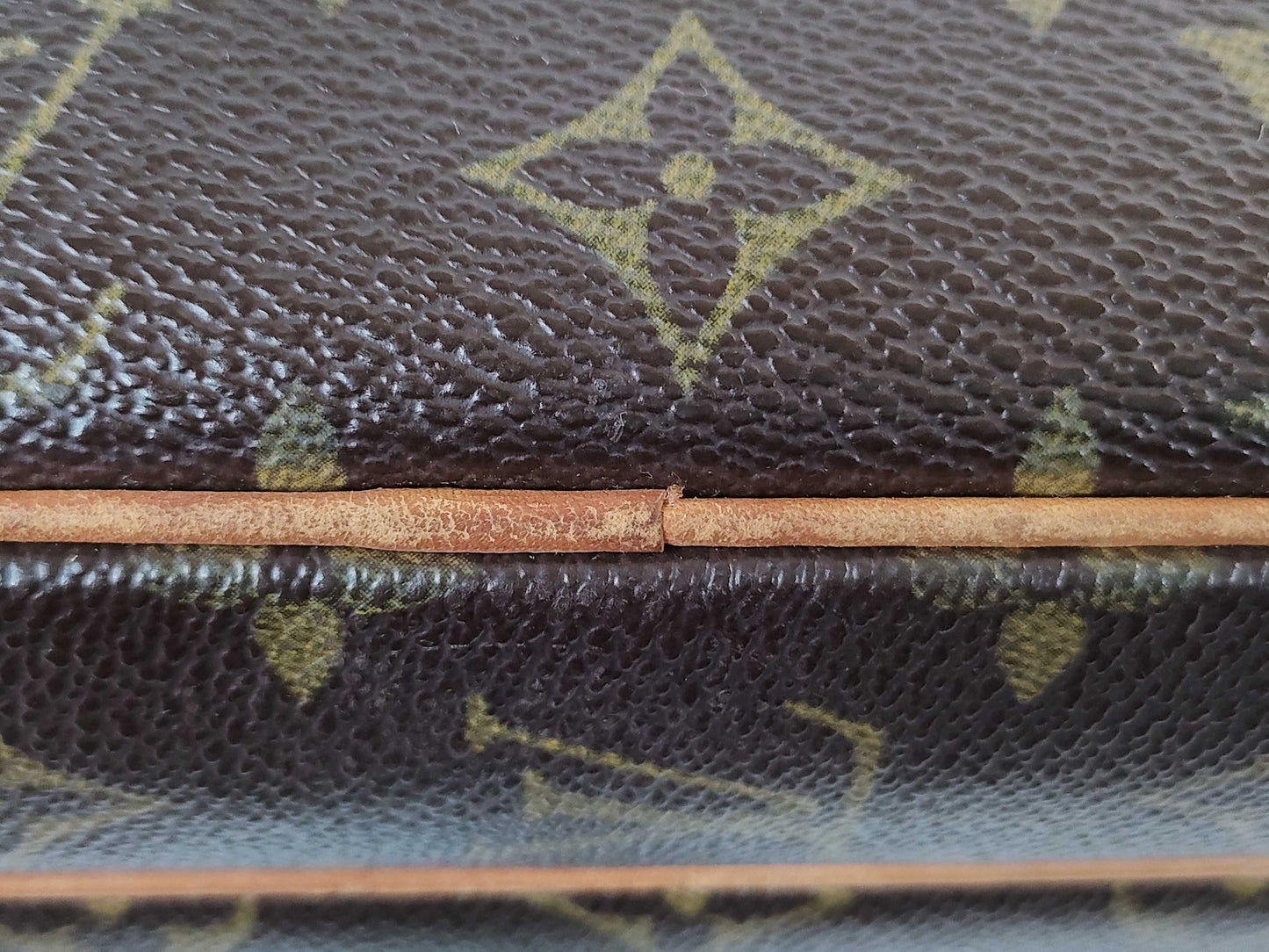 LOUIS VUITTON M45244 Monogram Nile Shoulder Bag
