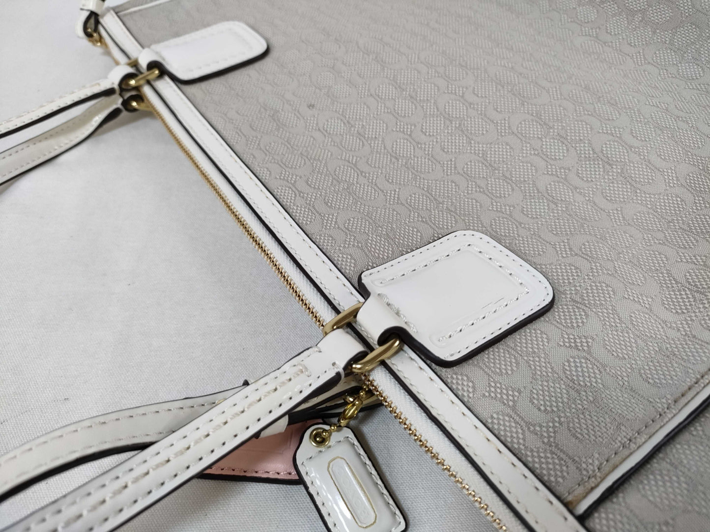 COACH Mini Signature 25051 Shoulder Bag