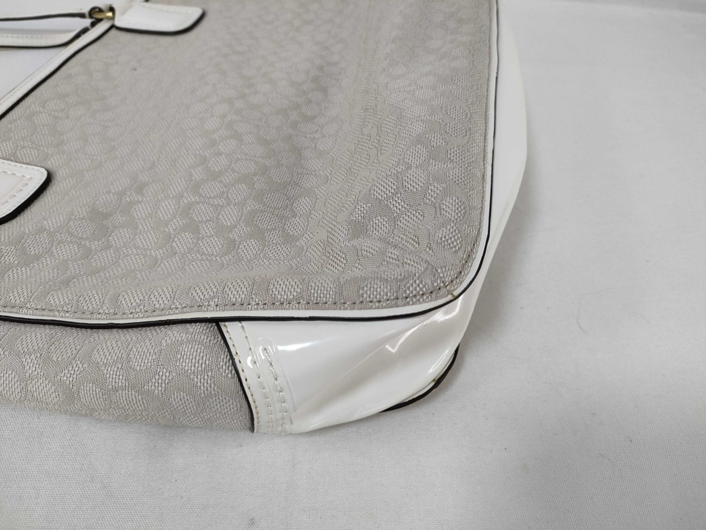 COACH Mini Signature 25051 Shoulder Bag
