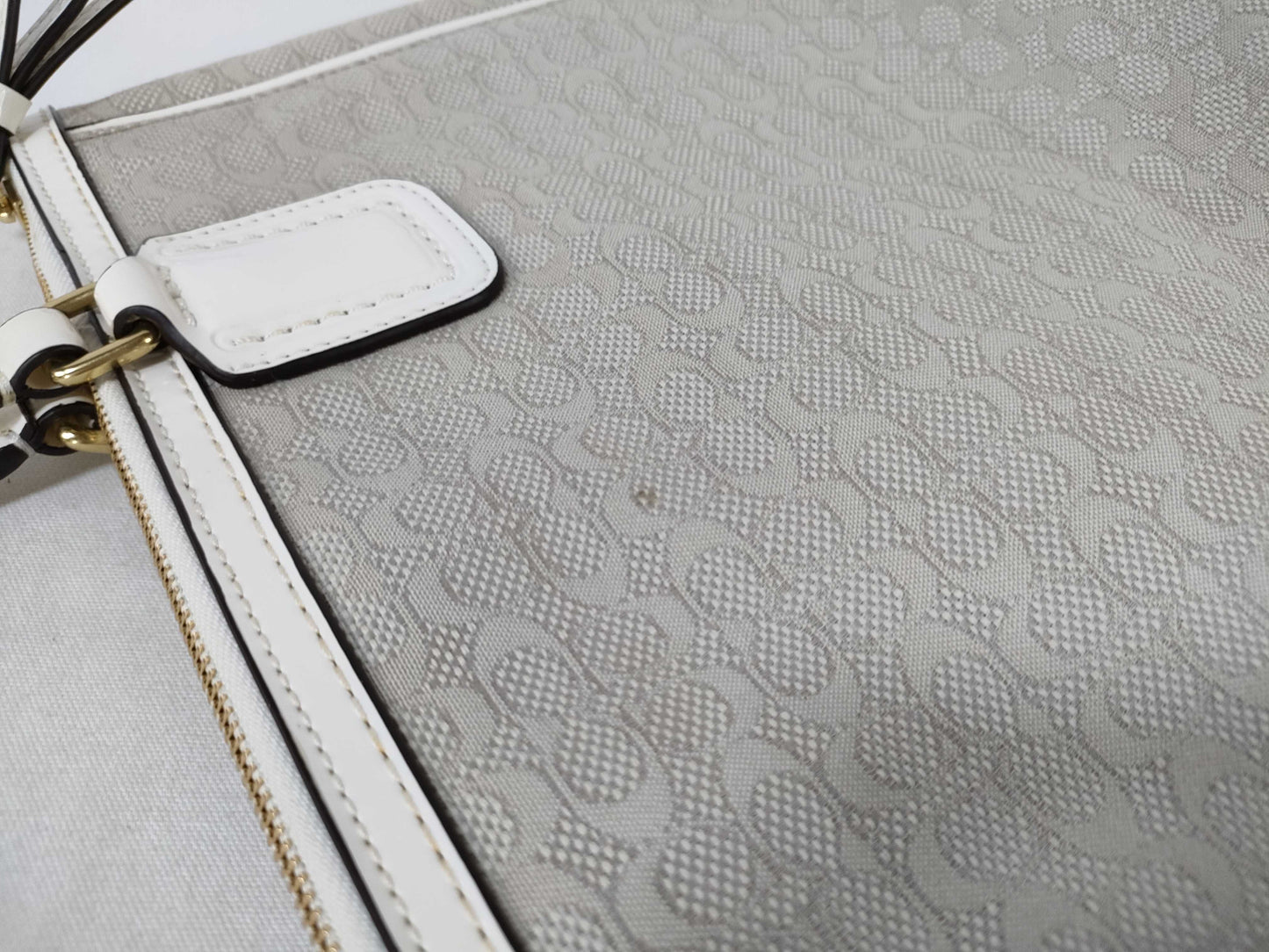 COACH Mini Signature 25051 Shoulder Bag