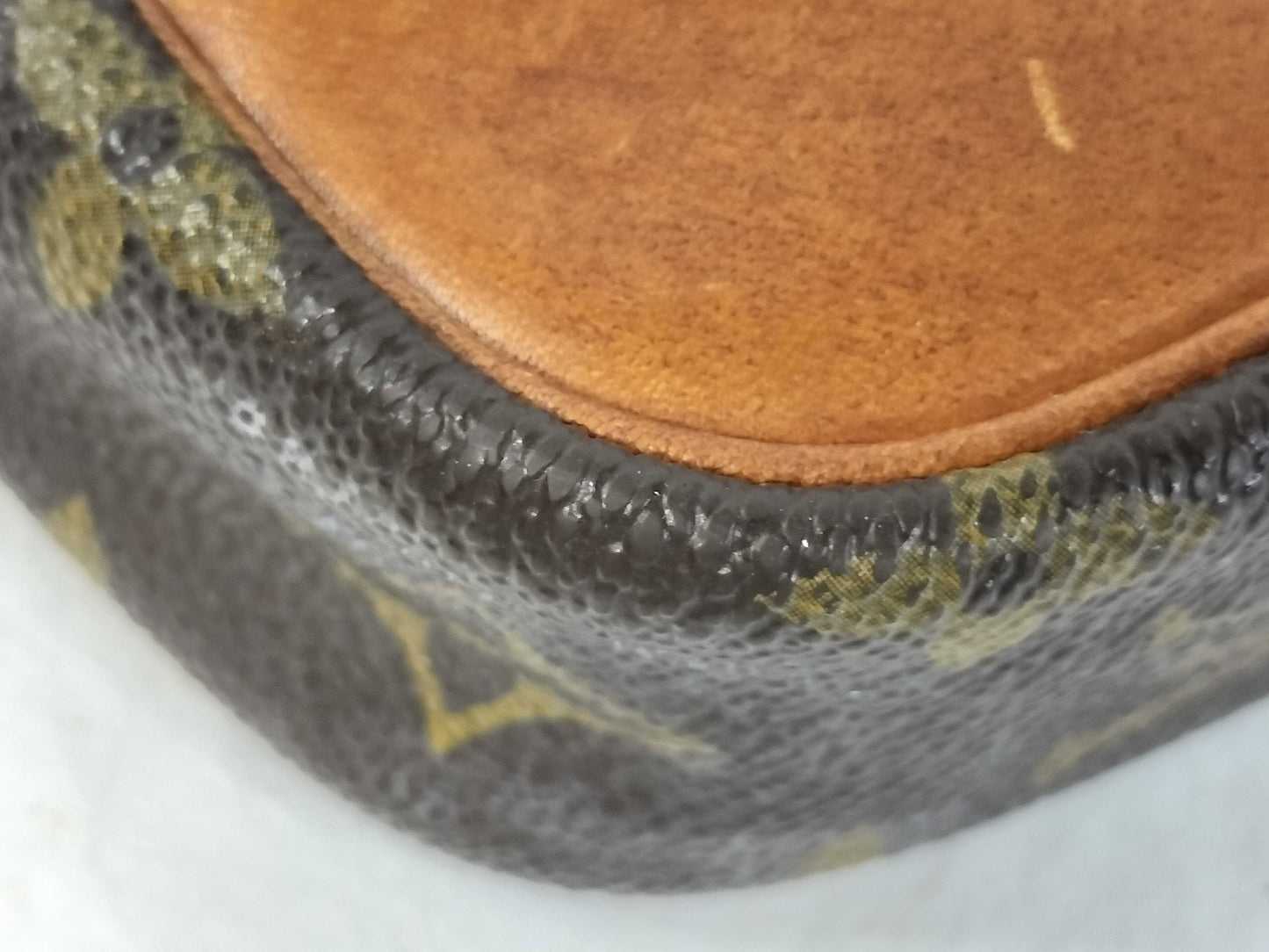 LOUIS VUITTON Monogram M45266 Danube Shoulder Bag