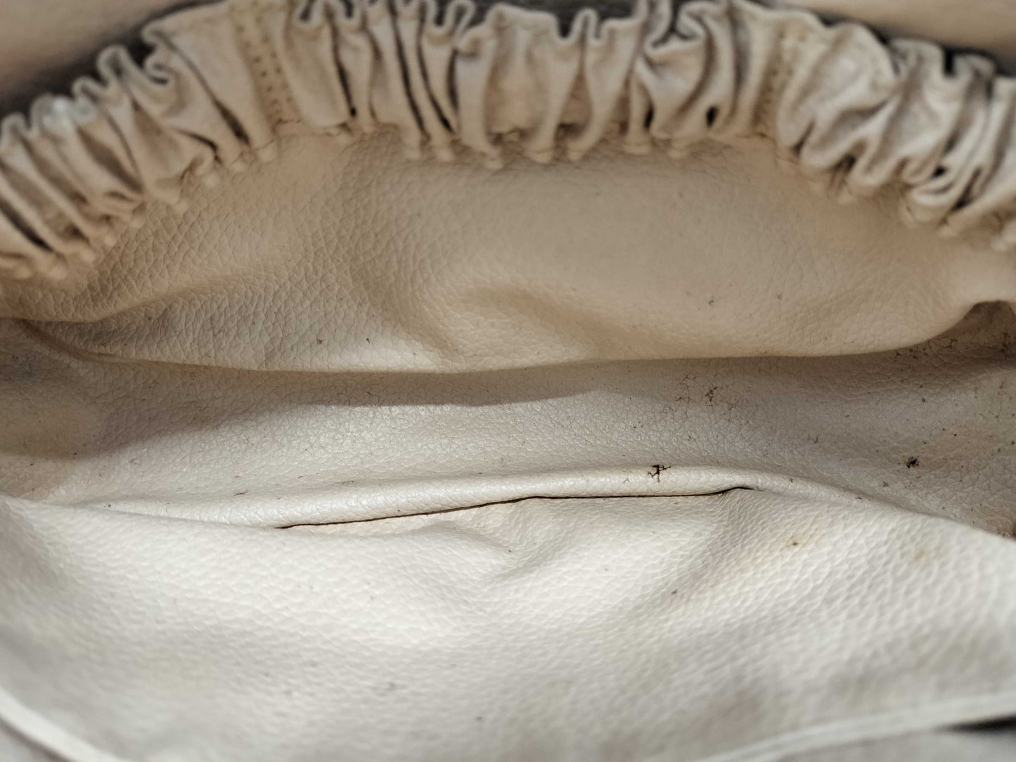 LOUIS VUITTON Monogram Truest Wallet Second Bag