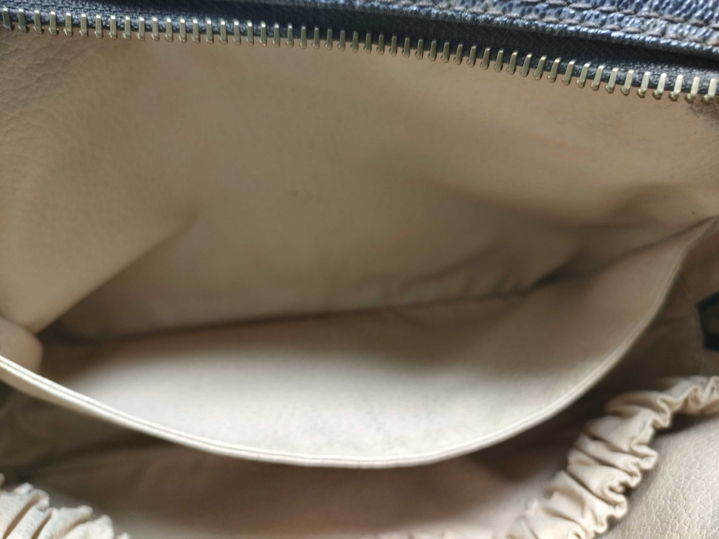 LOUIS VUITTON Monogram Truest Wallet Second Bag