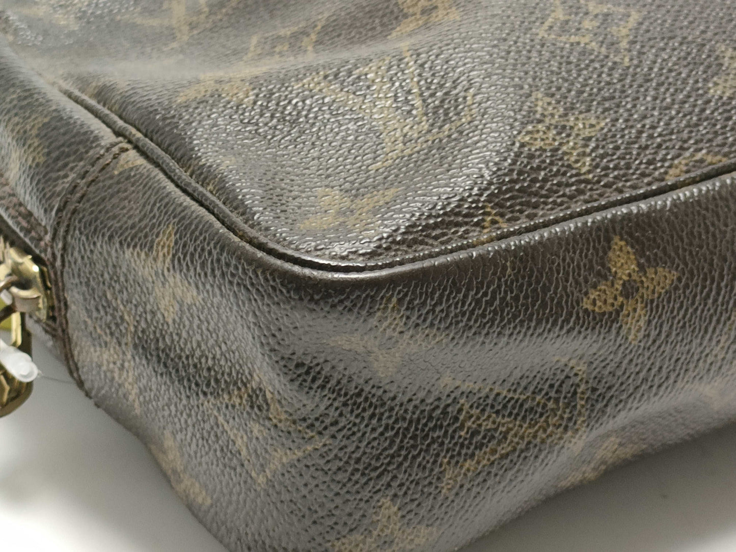 LOUIS VUITTON Monogram Truest Wallet Second Bag