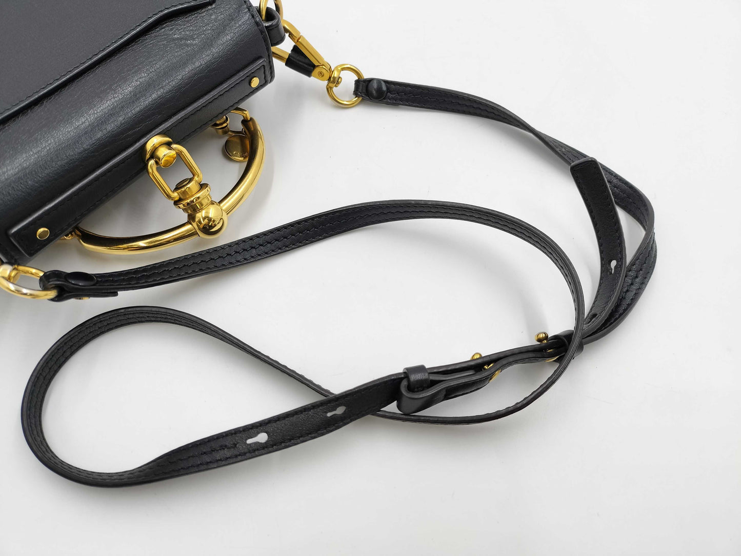 Chloe Nile Leather Handbag