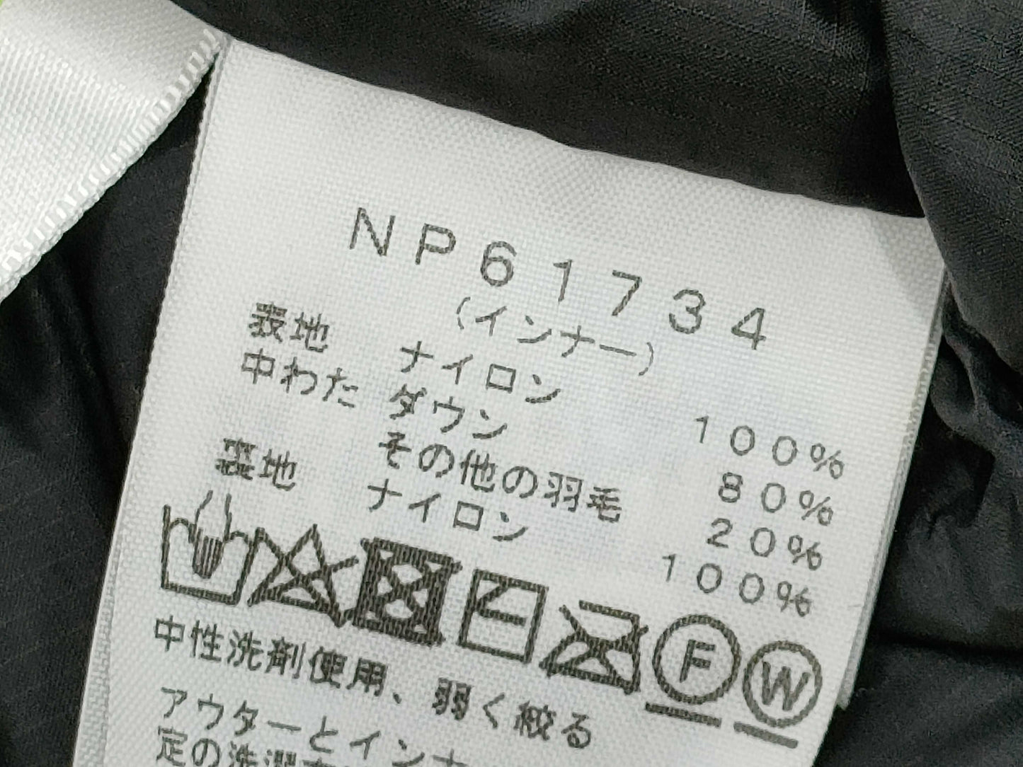 The North Face Down Jacket