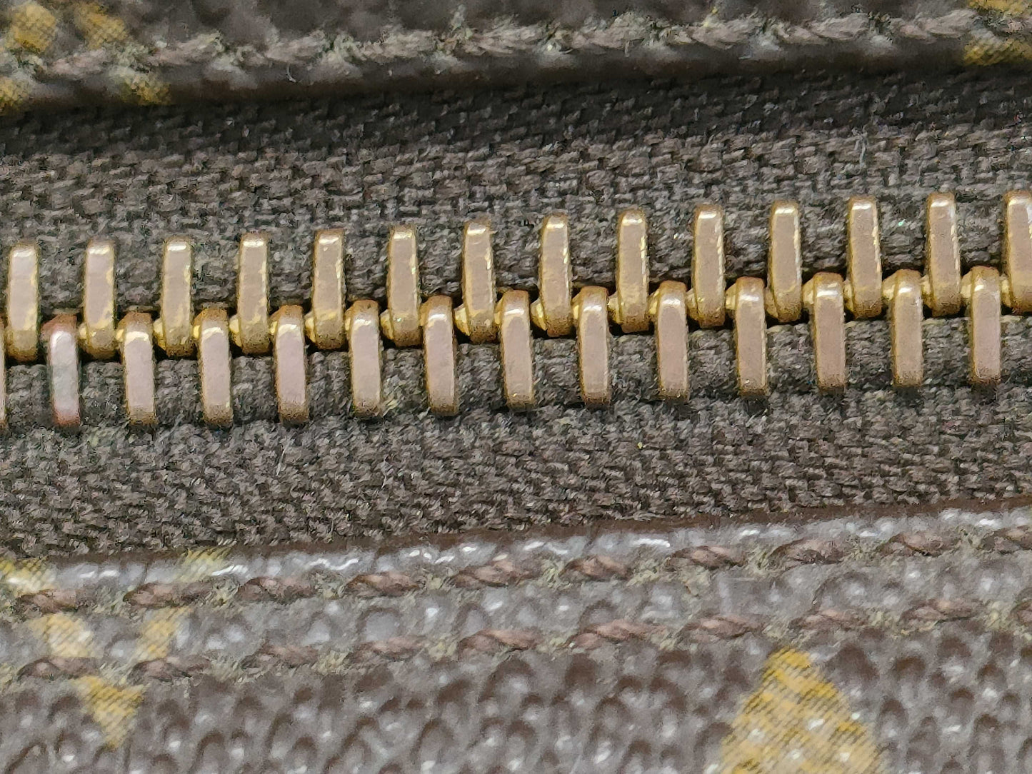 LOUIS VUITTON Monogram Truest Wallet Second Bag