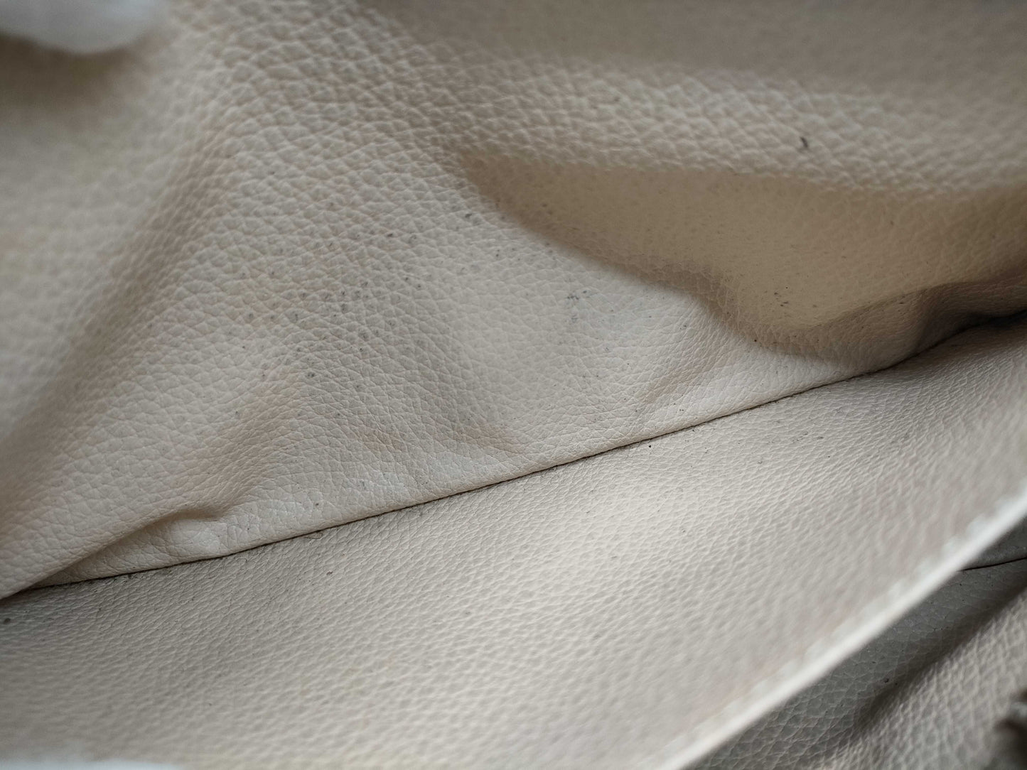 LOUIS VUITTON Monogram Truest Wallet Second Bag