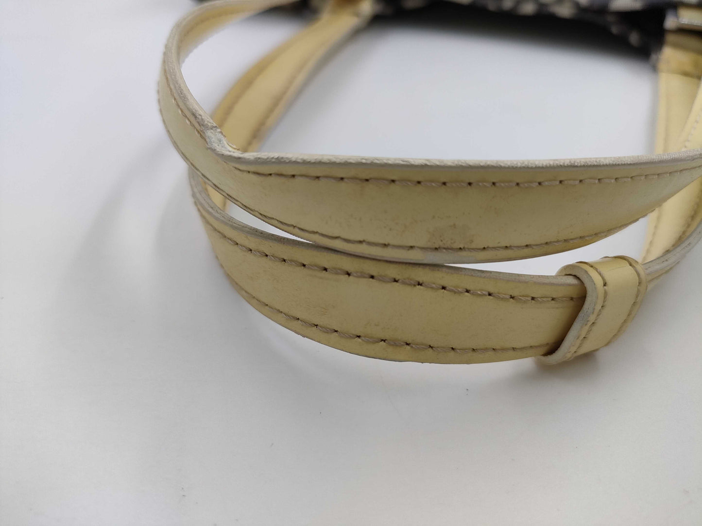 Dior Trotter Enamel Tote Bag