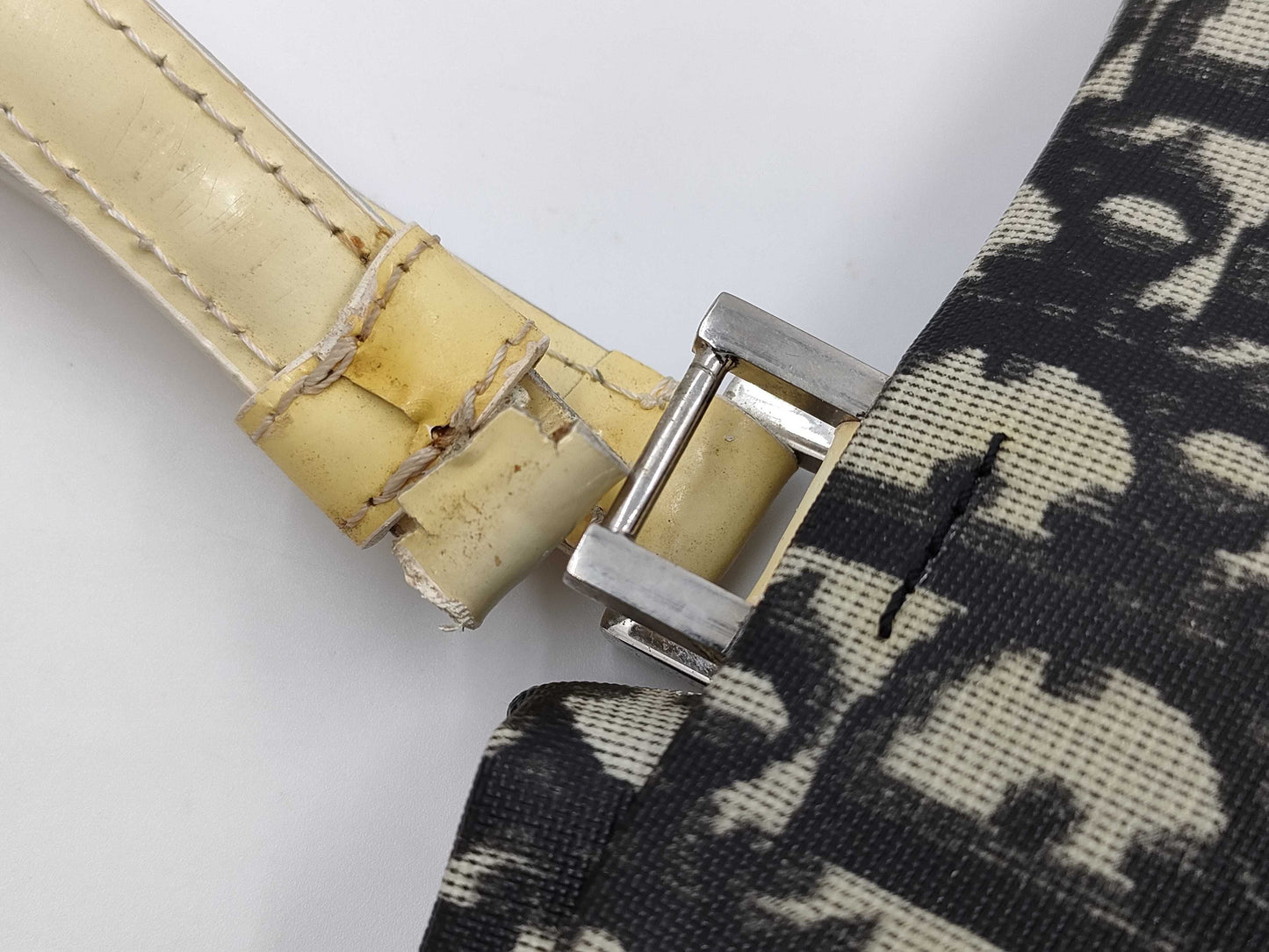 Dior Trotter Enamel Tote Bag