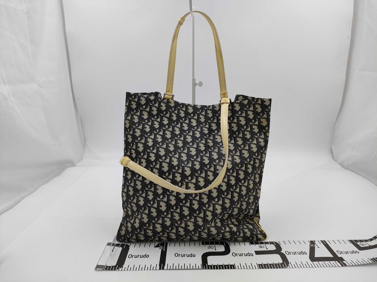 Dior Trotter Enamel Tote Bag