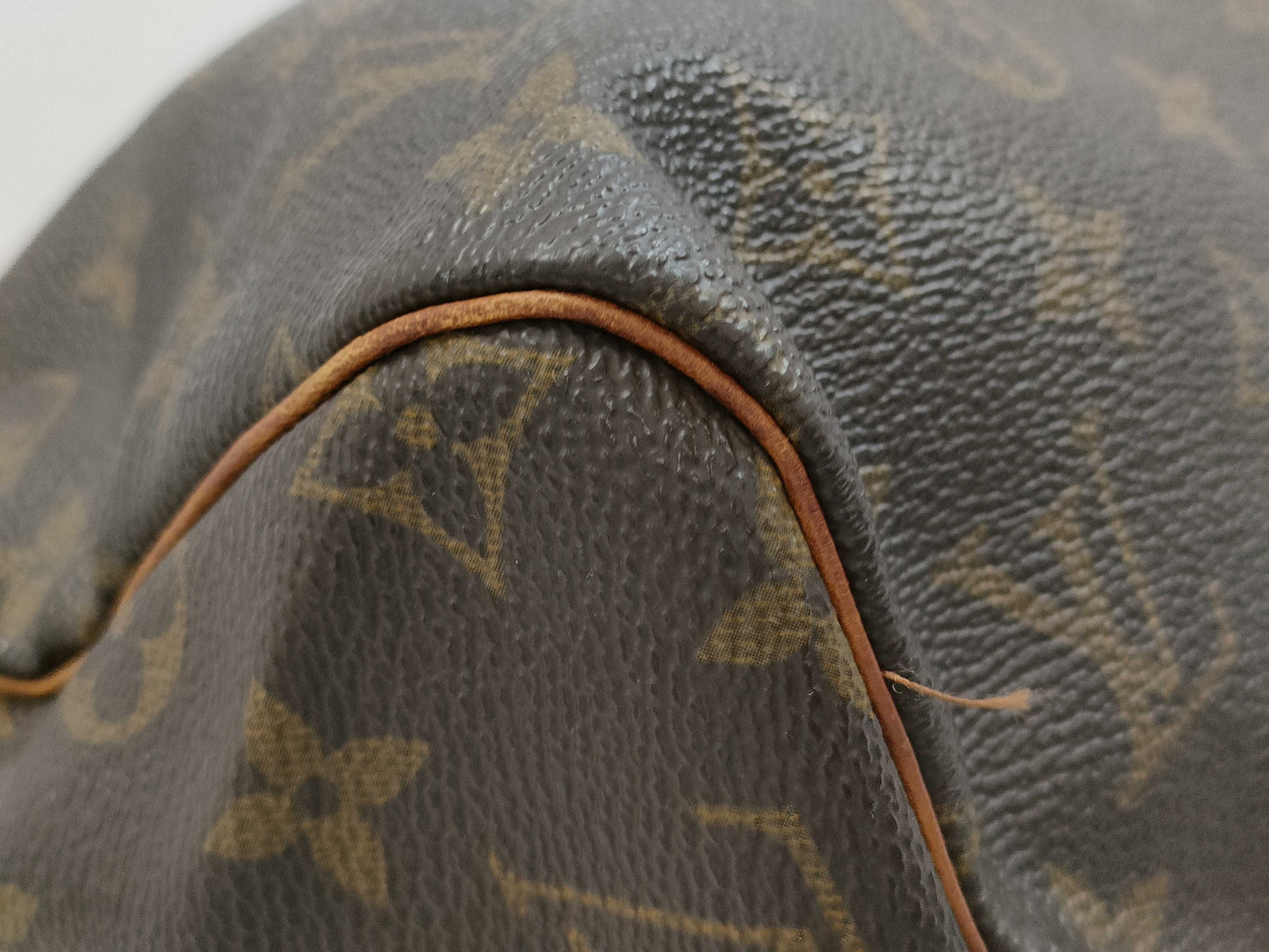 LOUIS VUITTON Monogram Speedy Handbag