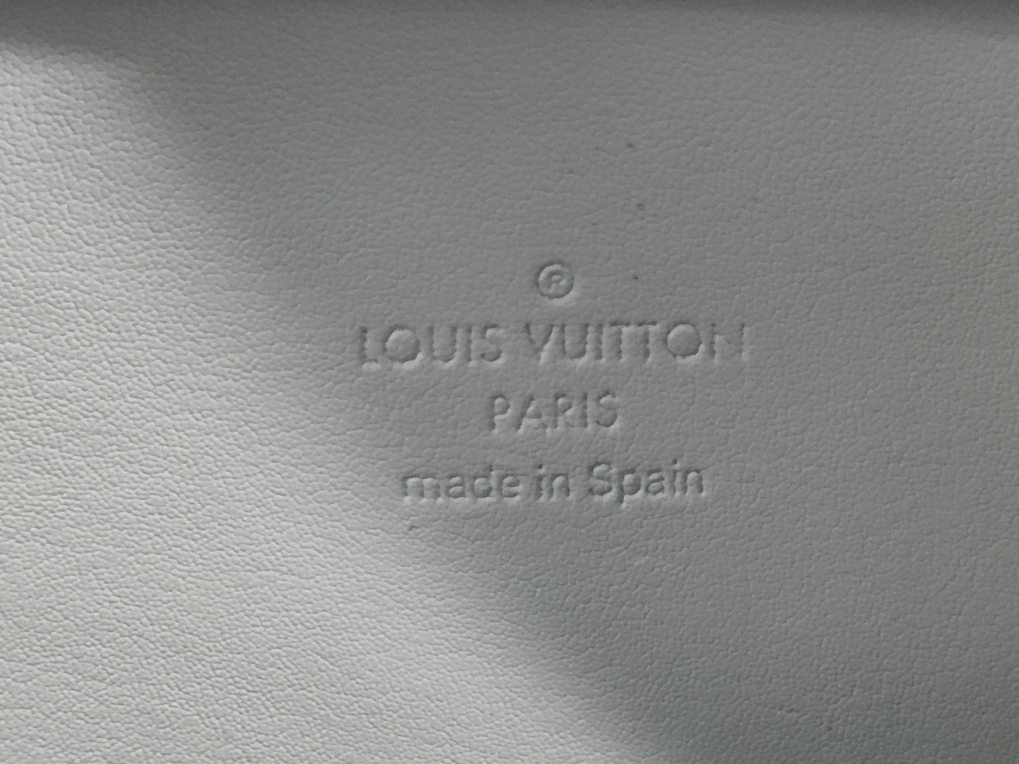 LOUIS VUITTON Vernis Columbus Tote Bag
