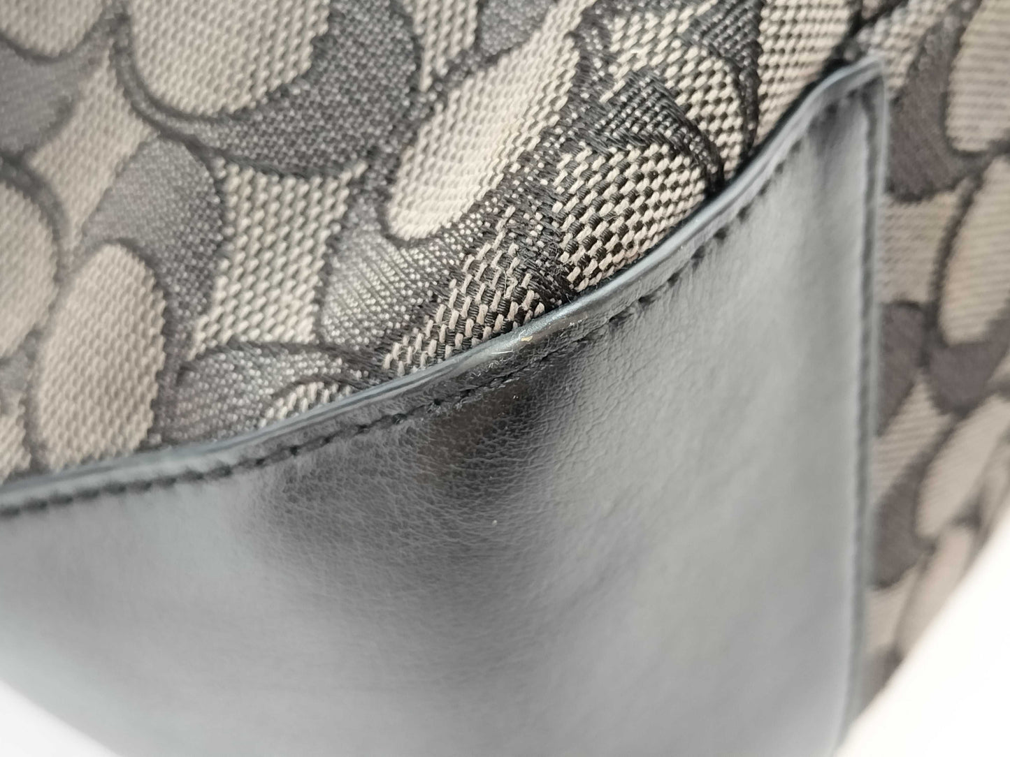 COACH F58282 Signature Canvas Tote Bag