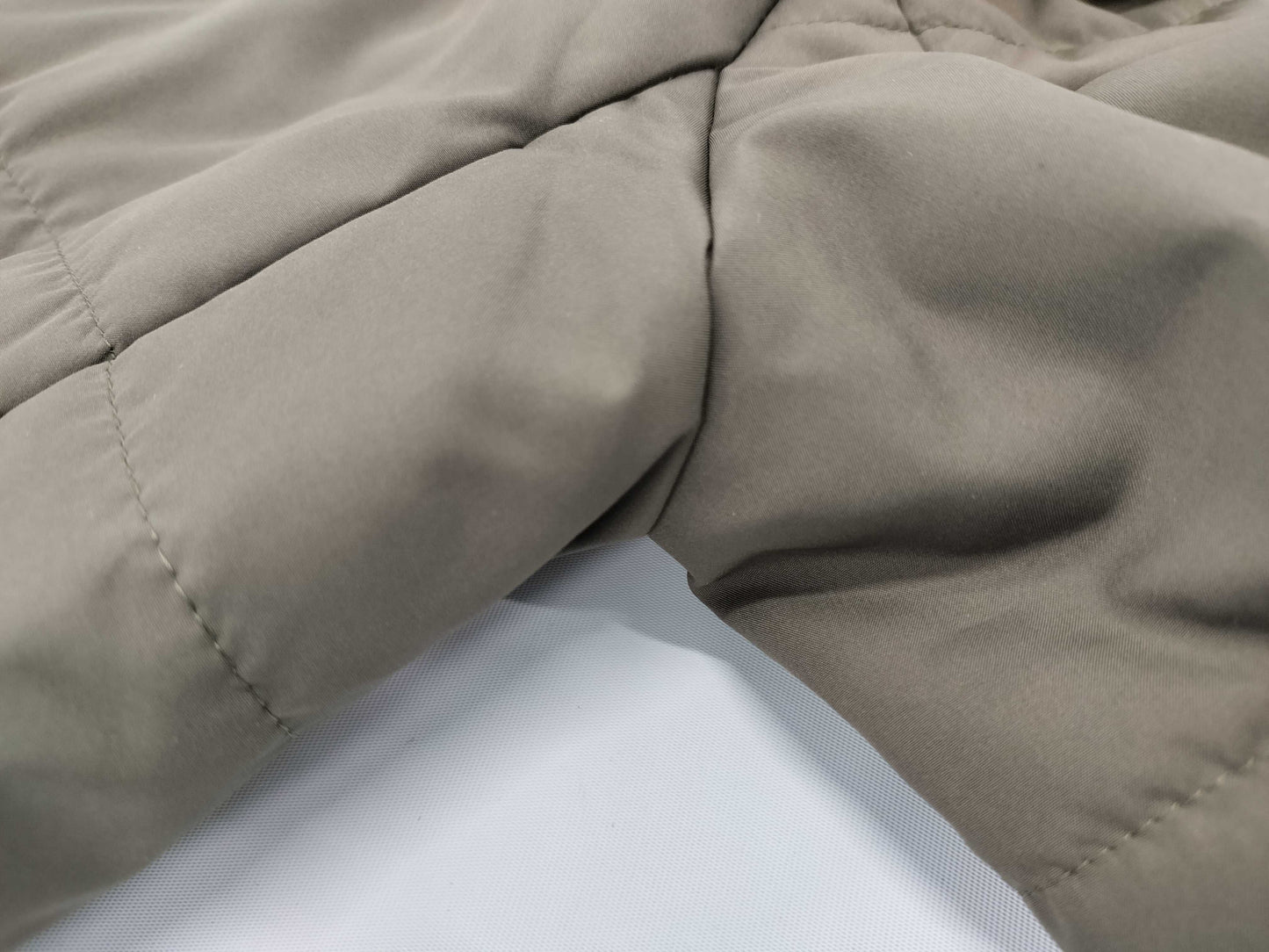 BURBERRY Down Coat Coat