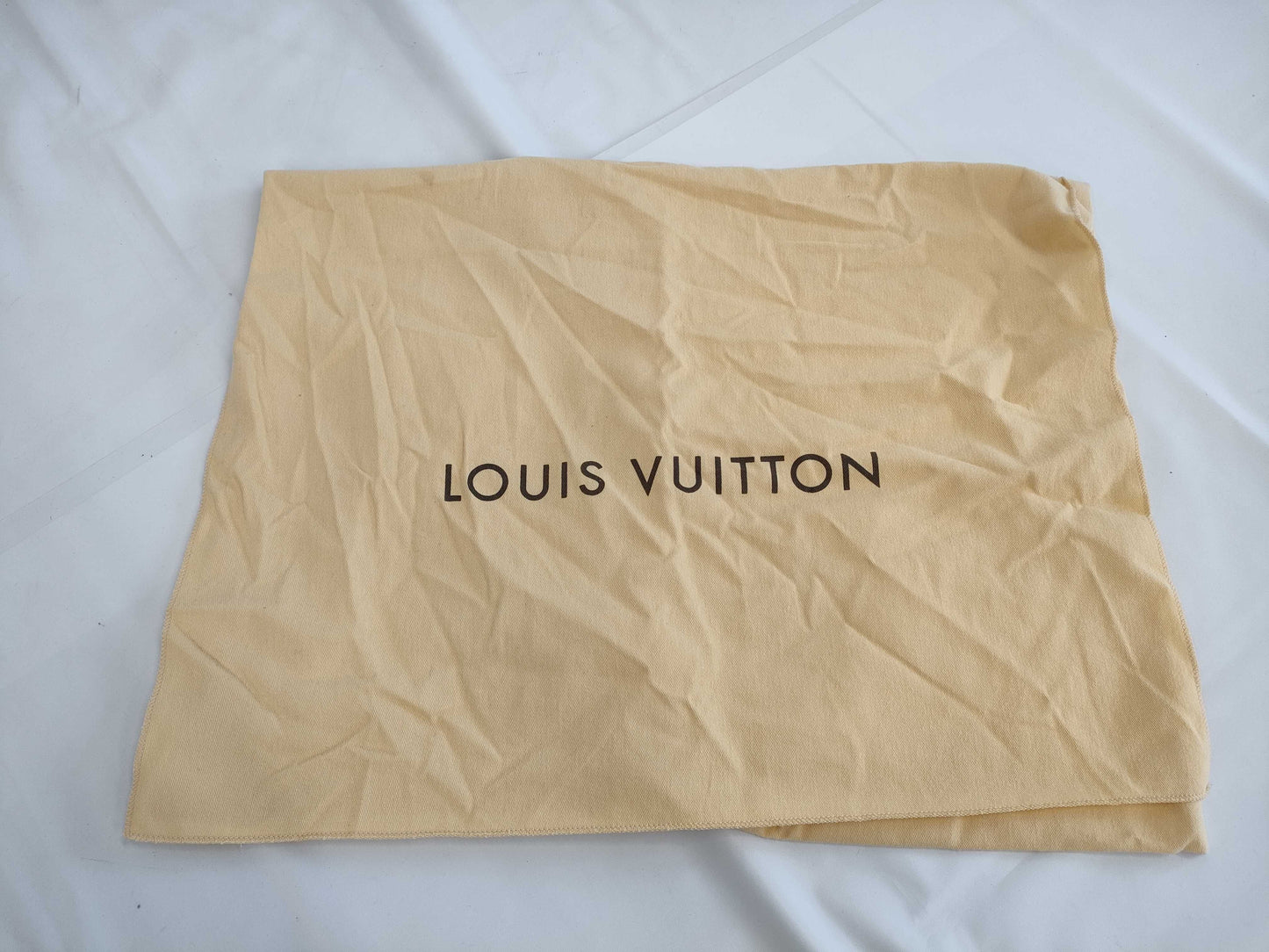 Louis Vuitton, Chanel, Van Cleef & Arpels, and other high-end brand paper storage bags. Empty brand boxes. Empty brand boxes.
