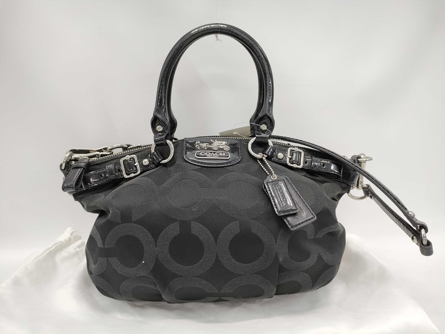COACH 18650 handbag