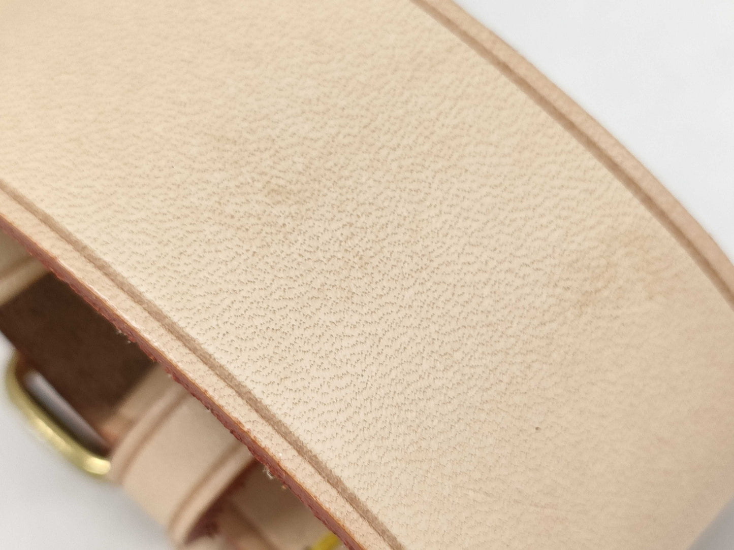 LOUIS VUITTON Monogram Poignier Other Accessories