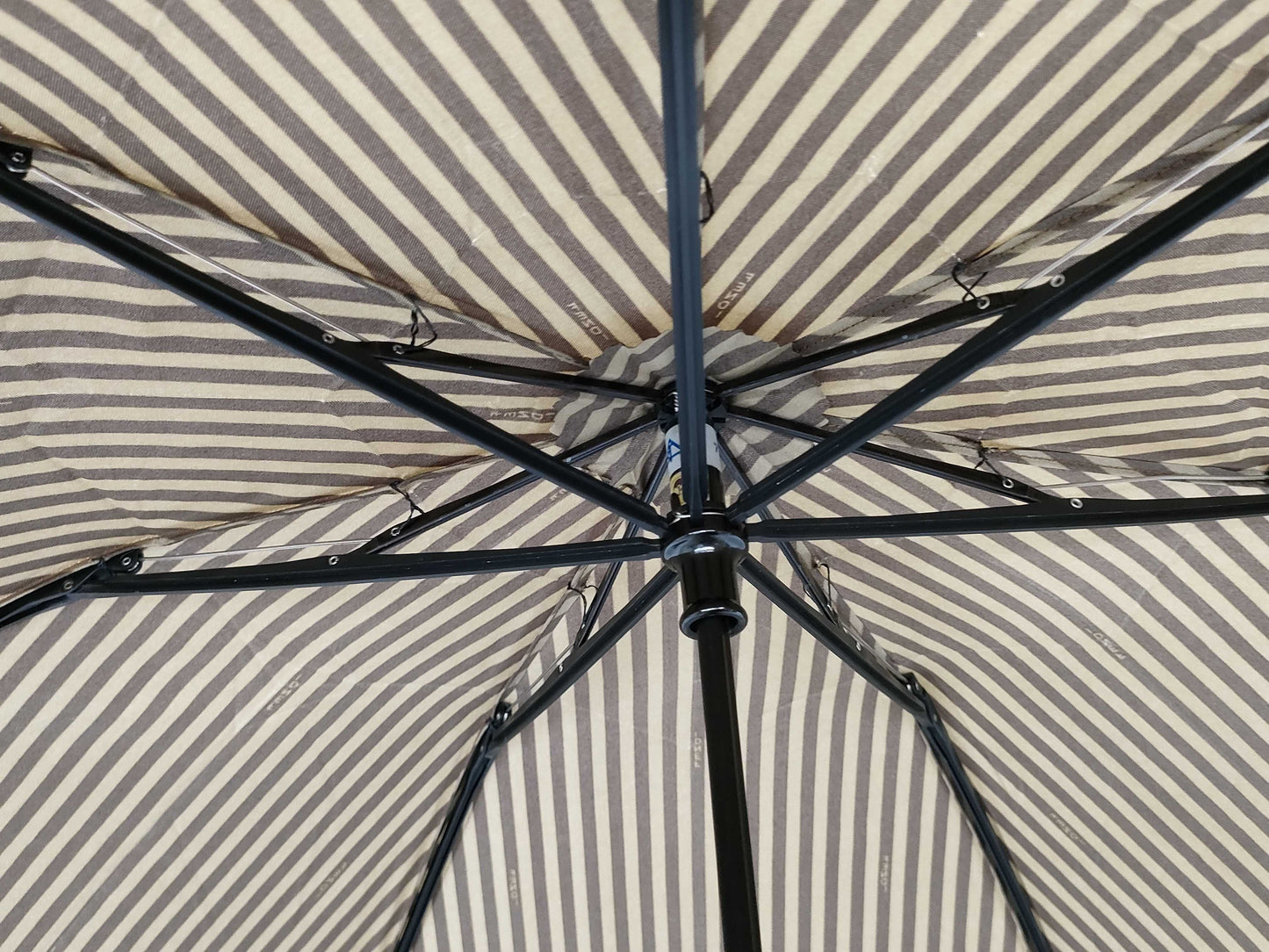 FENDI Pecan Umbrella Umbrella Umbrella