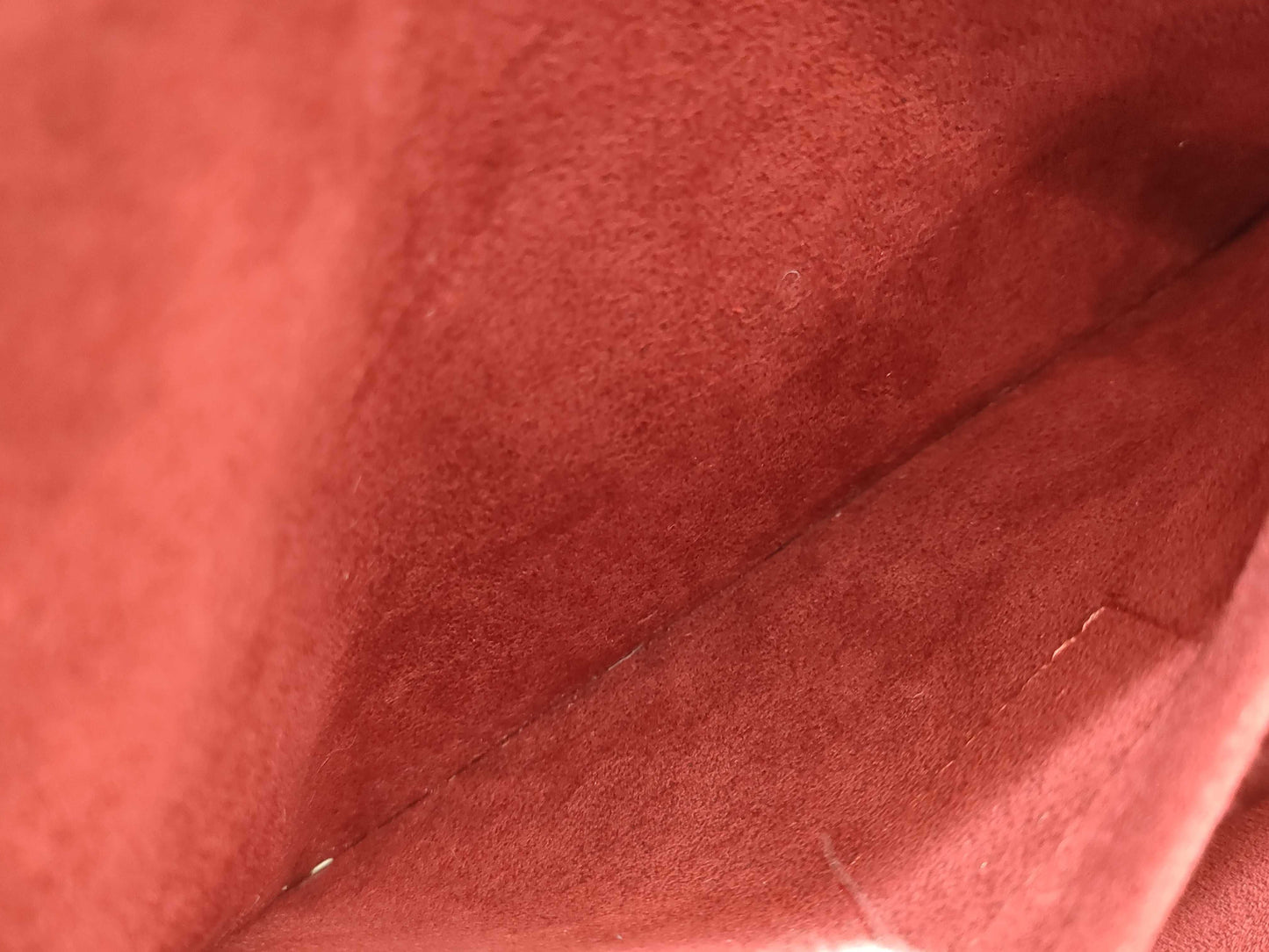 LOUIS VUITTON Monogram Clara Handbag