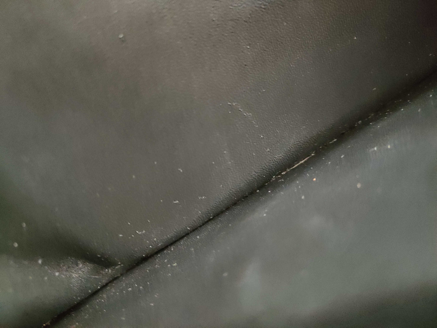CELINE Classic Triomphe Shoulder Bag