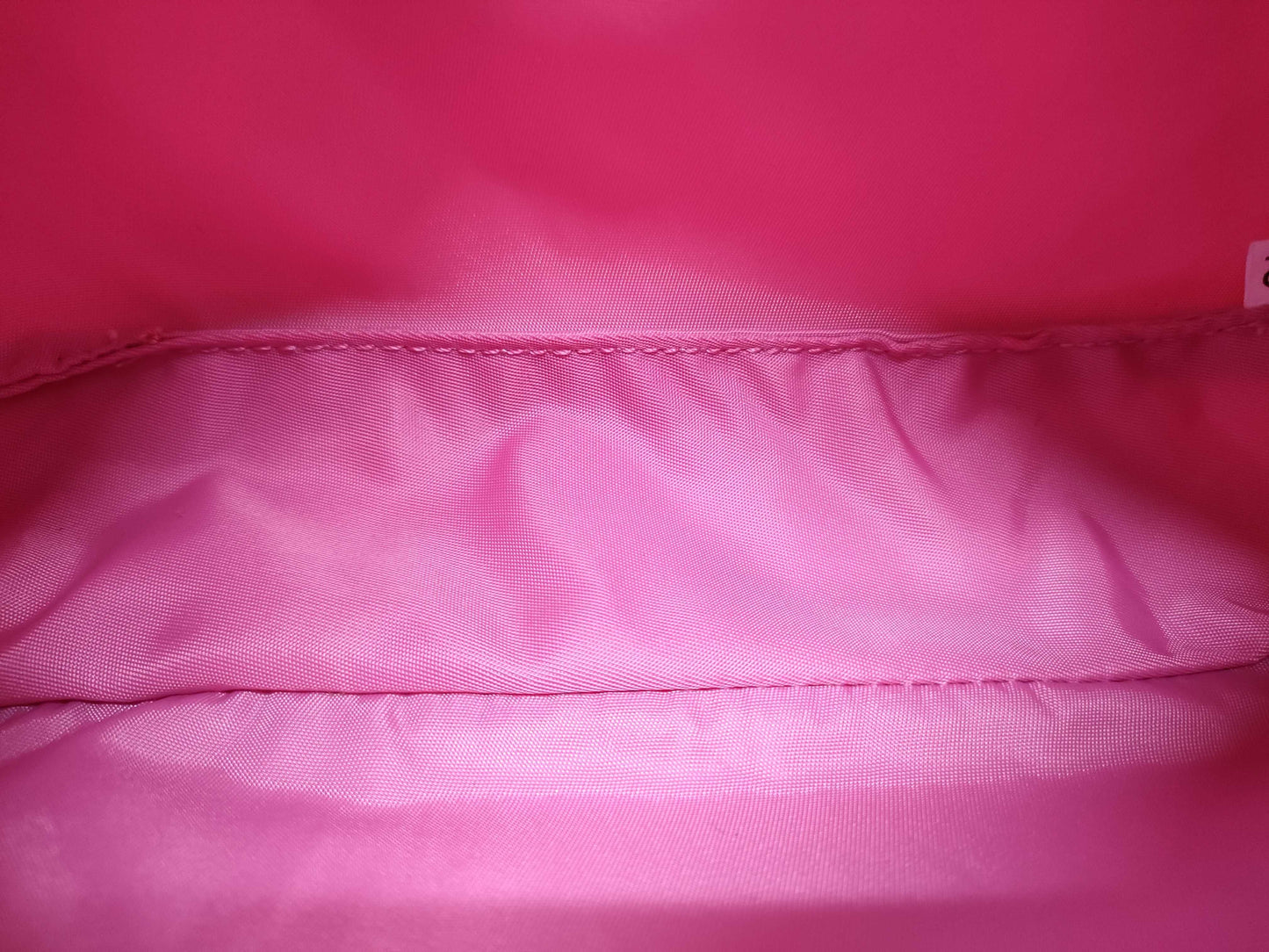 PRADA Nylon Accessory Pink Handbag