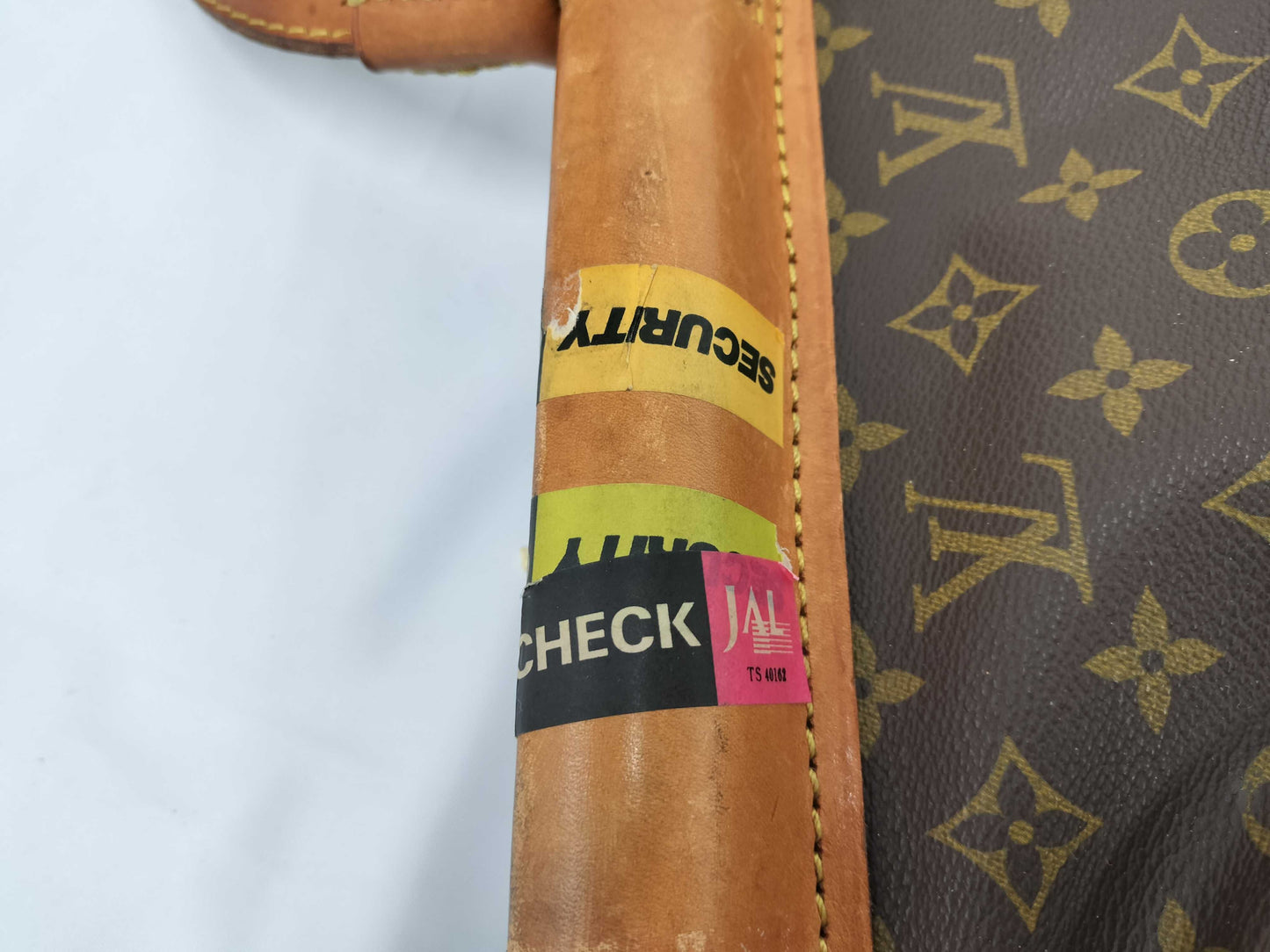 LOUIS VUITTON Neutra / Carry Bag Bag