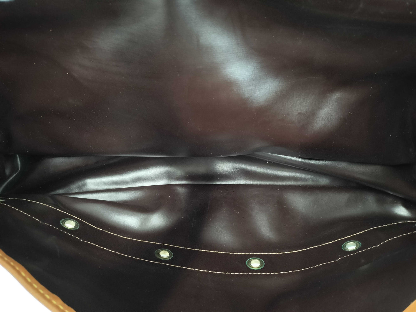 LOUIS VUITTON Neutra / Carry Bag Bag