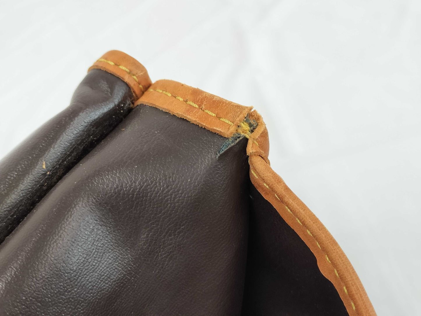 LOUIS VUITTON Neutra / Carry Bag Bag
