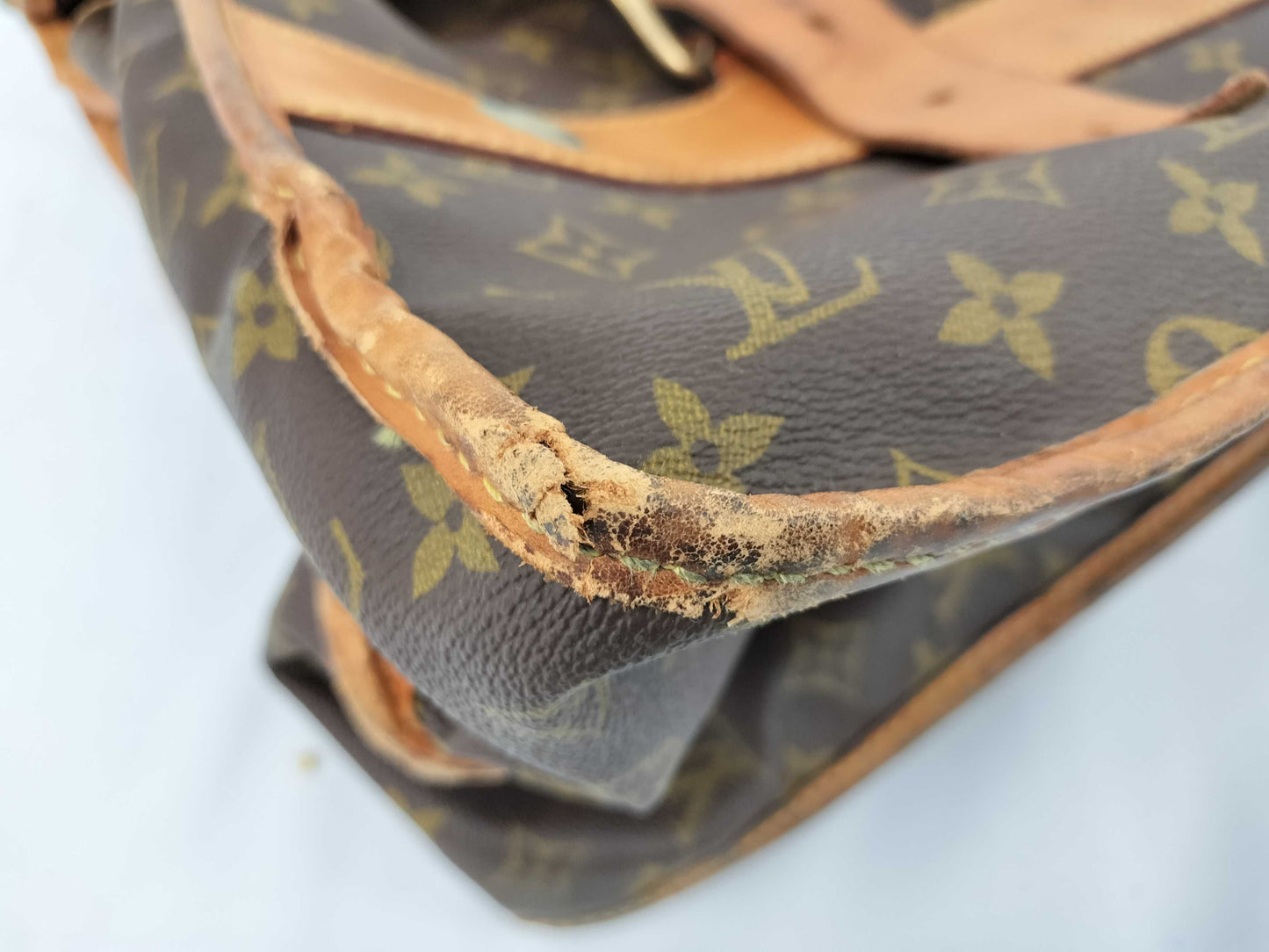 LOUIS VUITTON Neutra / Carry Bag Bag