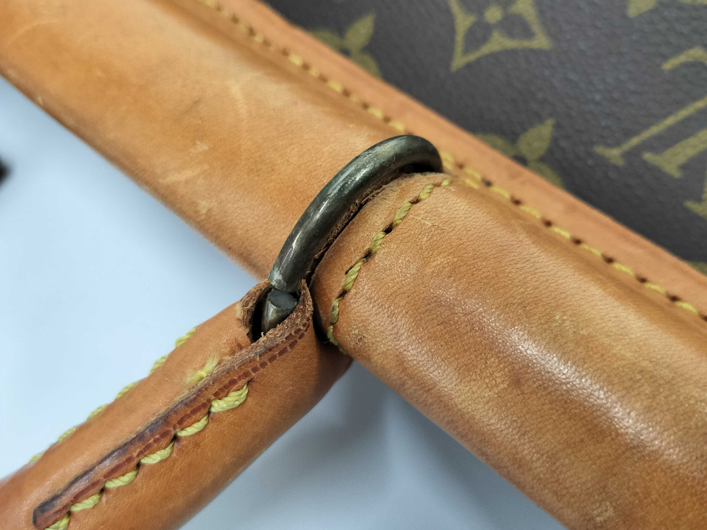 LOUIS VUITTON Neutra / Carry Bag Bag