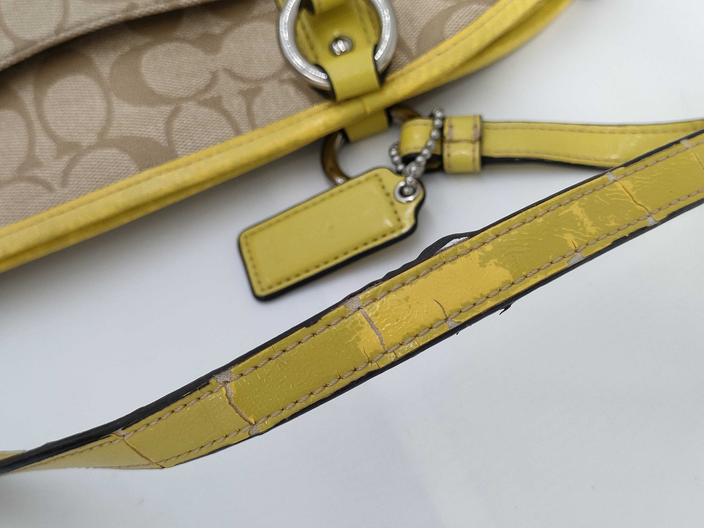 COACH Signature Canvas Tote Bag