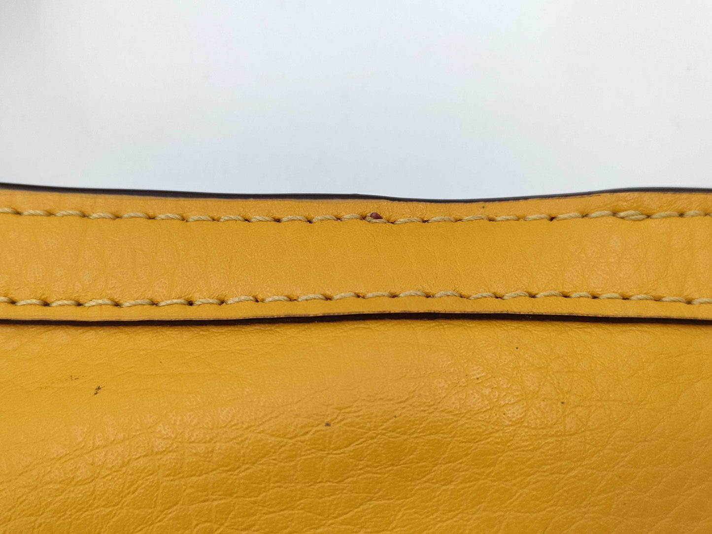 COACH bag set bag