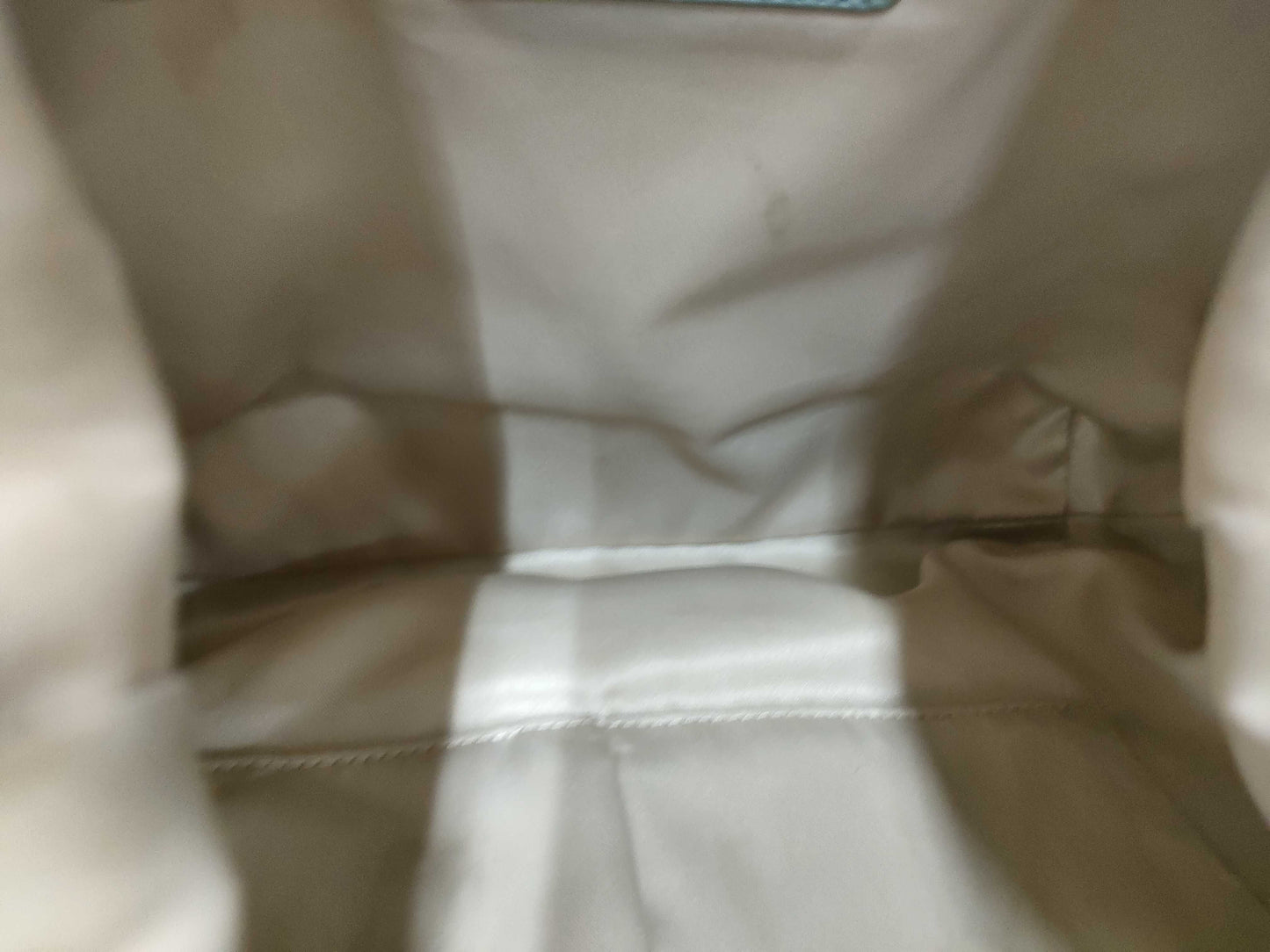COACH handbags *2 pieces Handbags