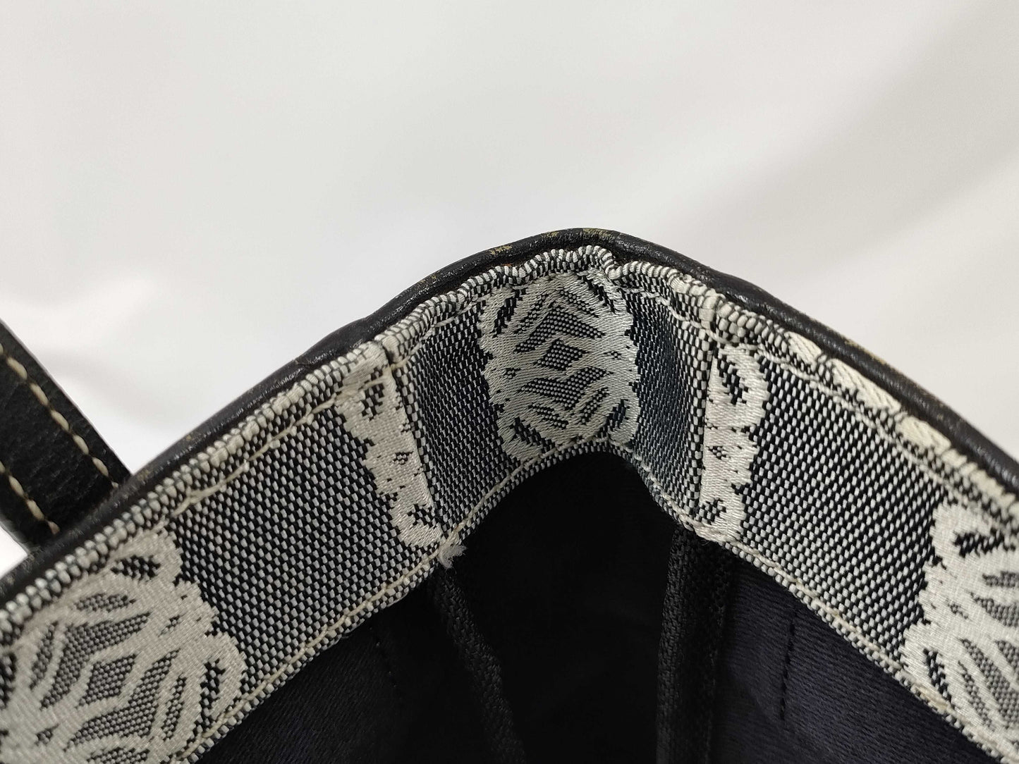 LOEWE Amazona Mini Handbag