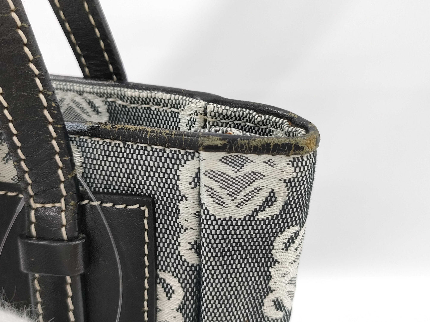 LOEWE Amazona Mini Handbag